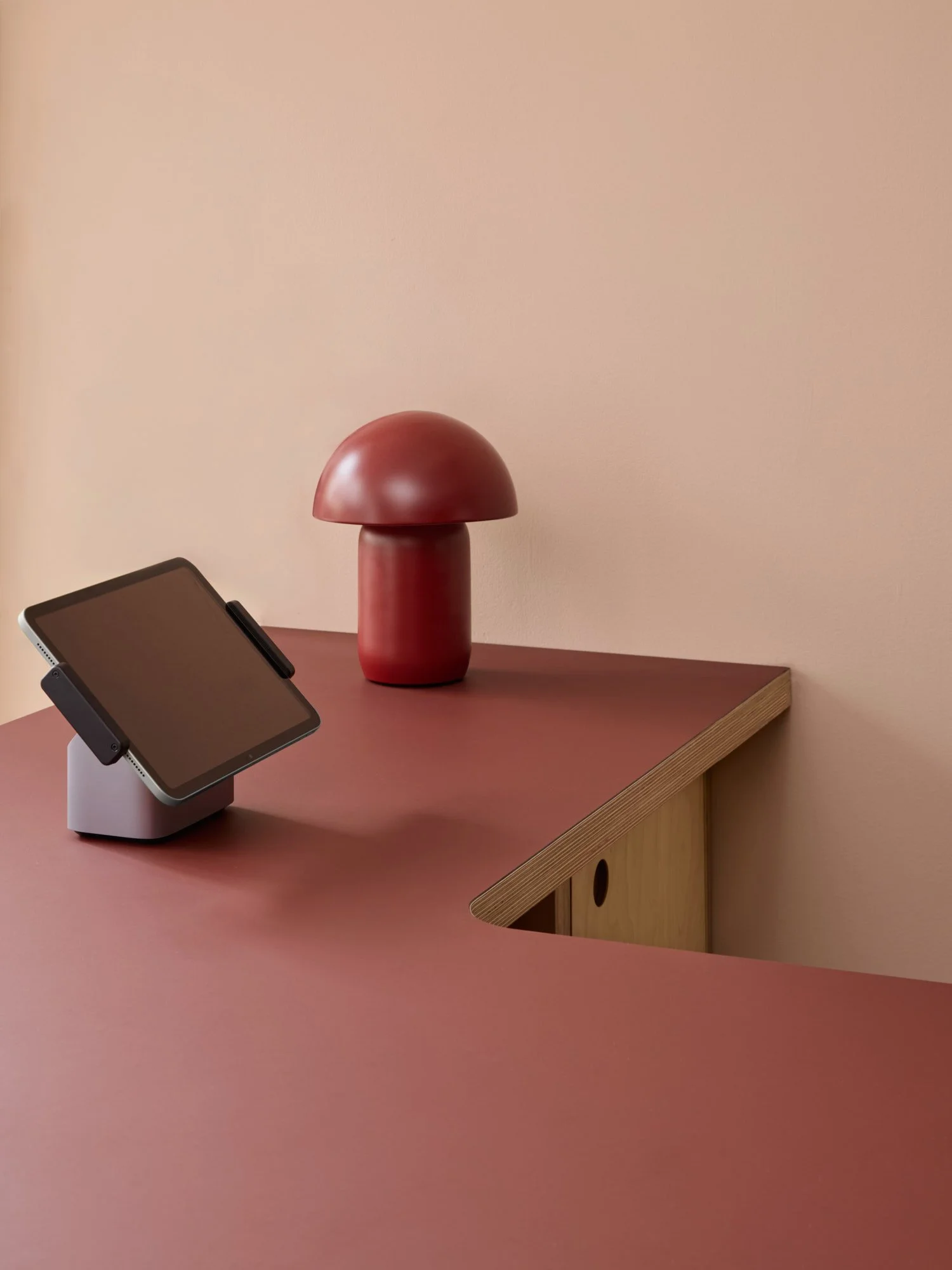 Lozi_plywood_commerical_Shake_Sound_low-res_11_bespoke_retail_storage_till_point.jpg