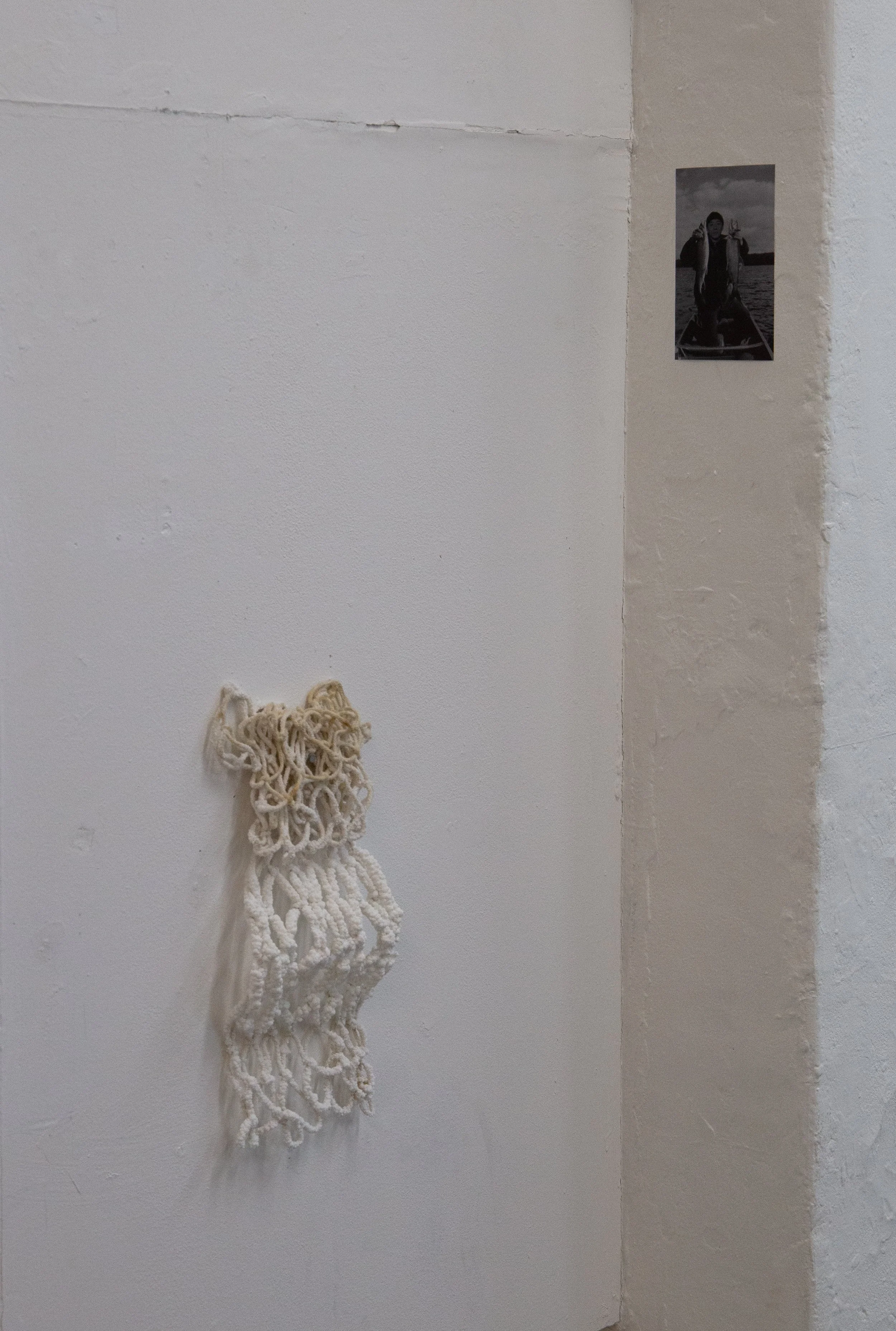 Synthetic fishing - Crystalize! fish!