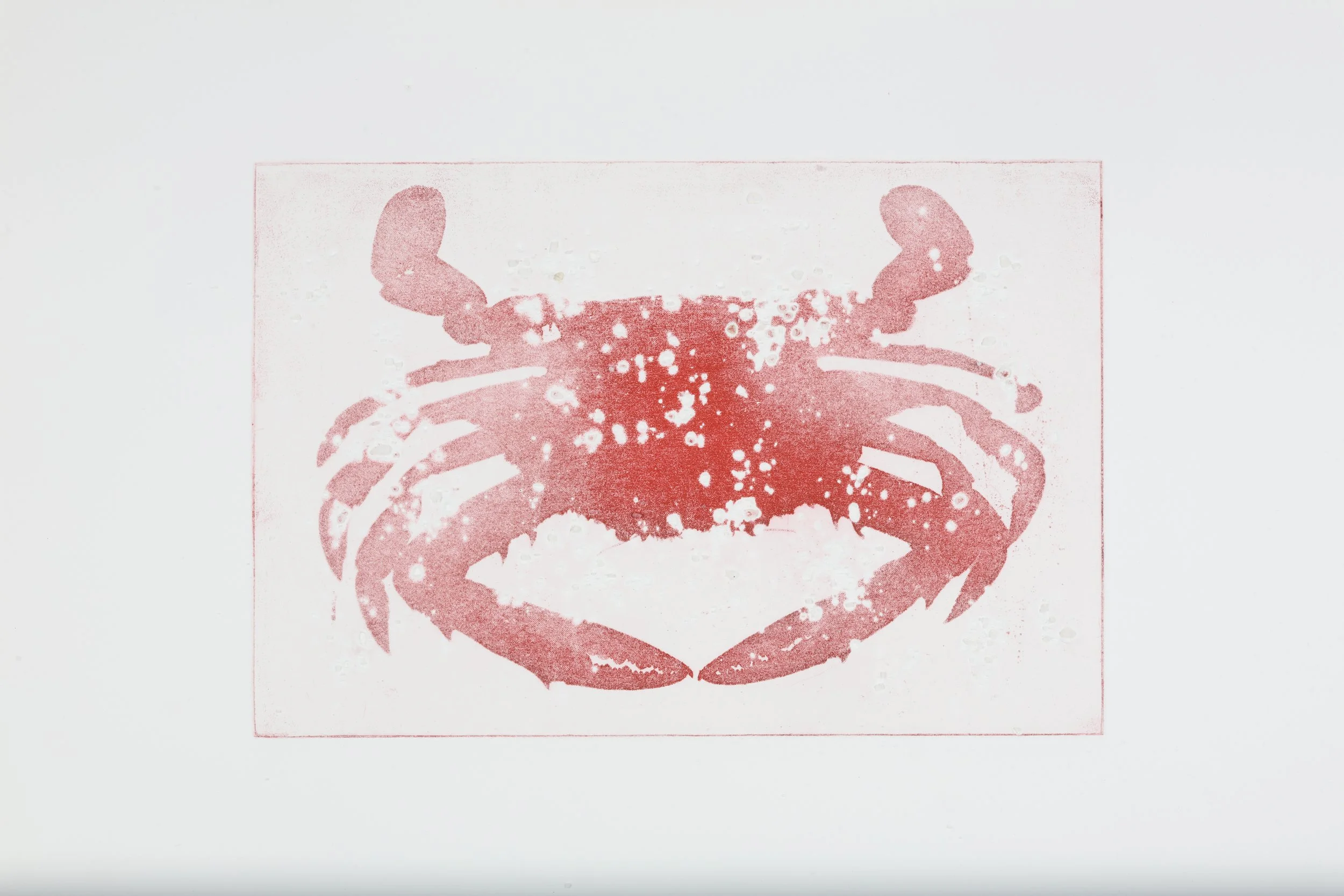 Synthetic fishing - some crab and salt prints