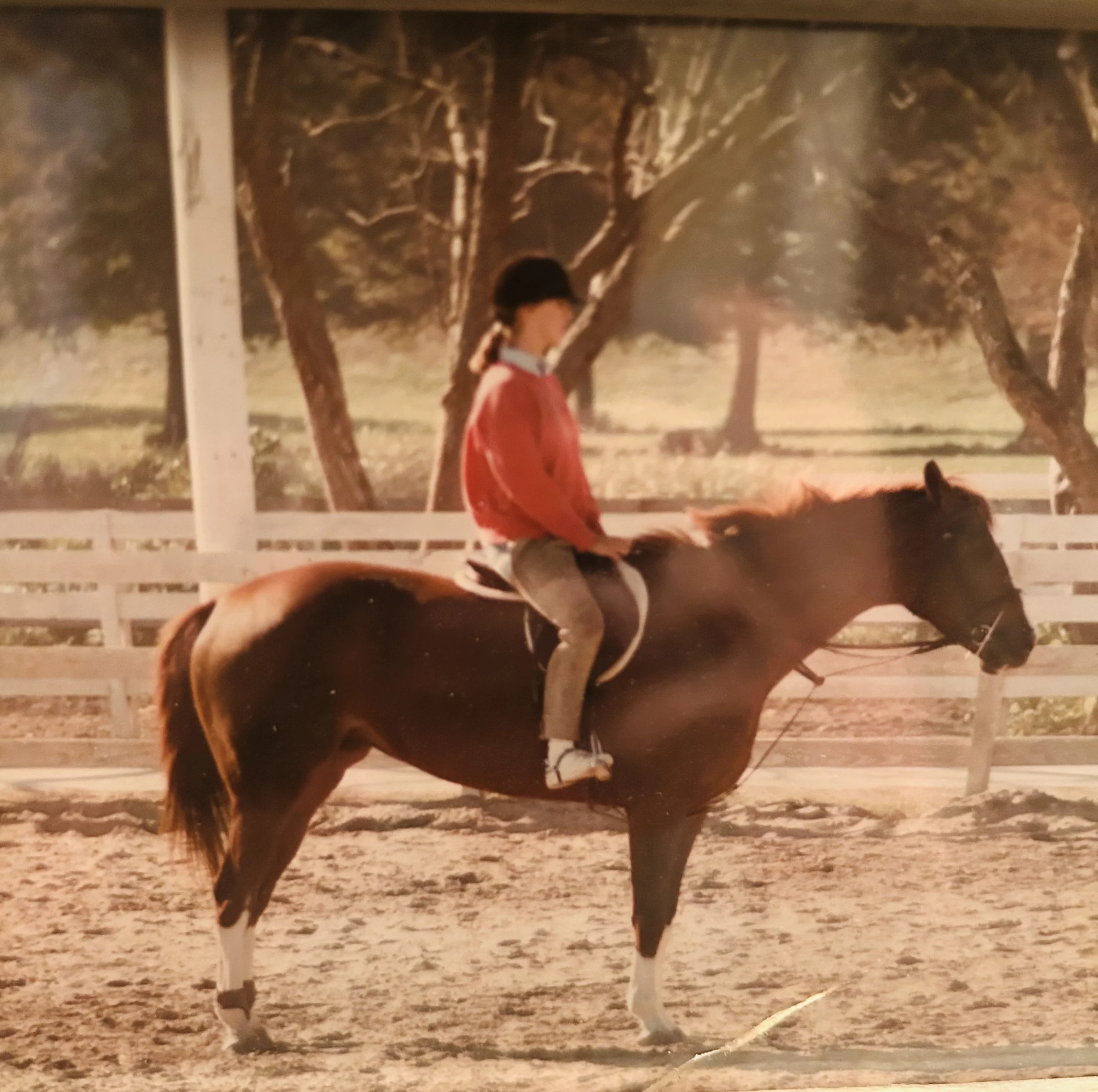 A Journey Made on Horseback 