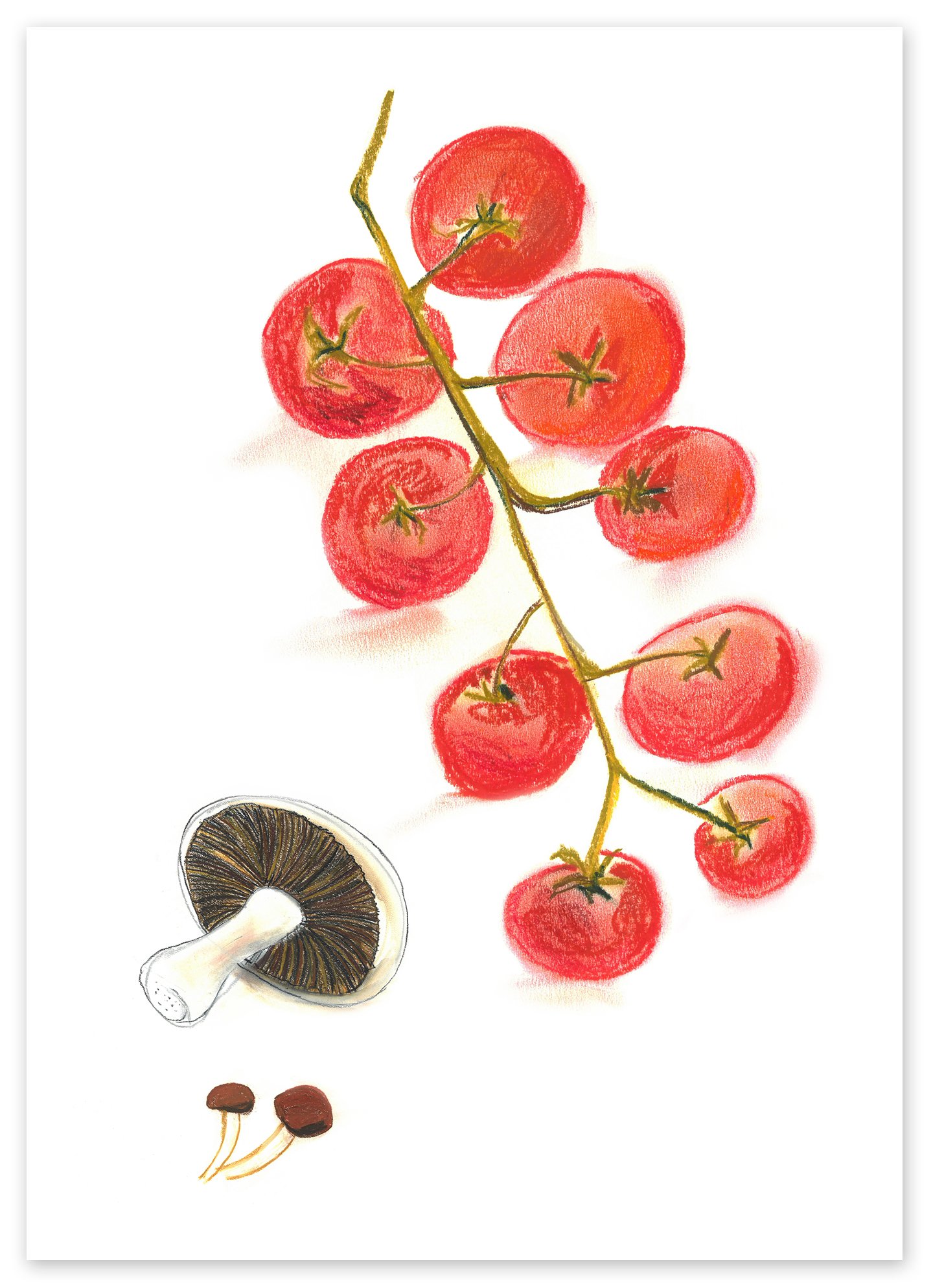 Tomates con setas