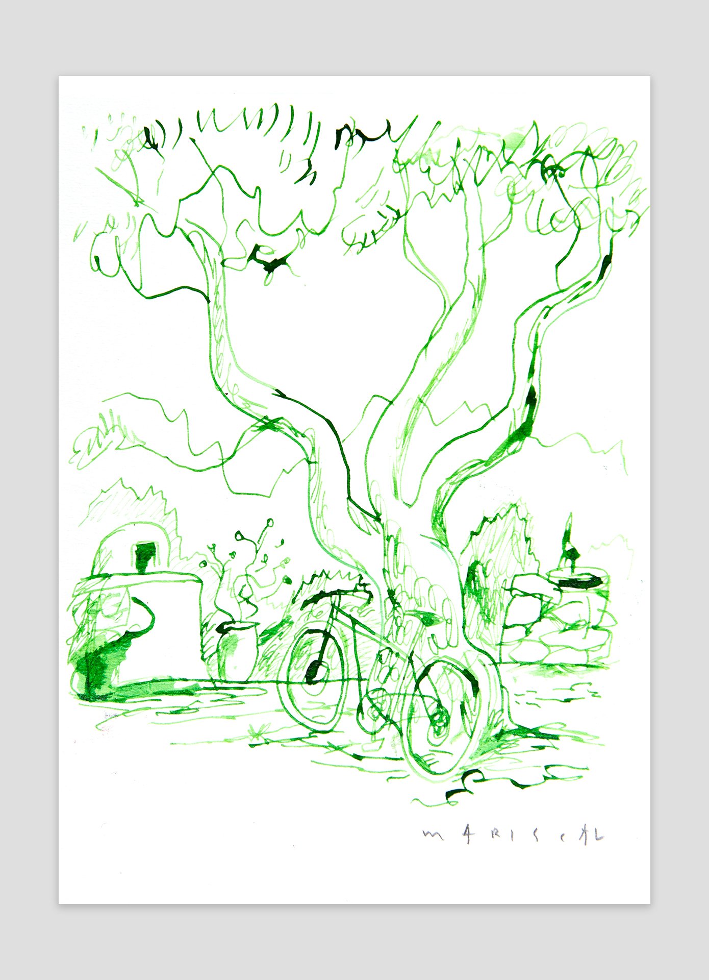 LA BICI DEL PINO 03.jpg