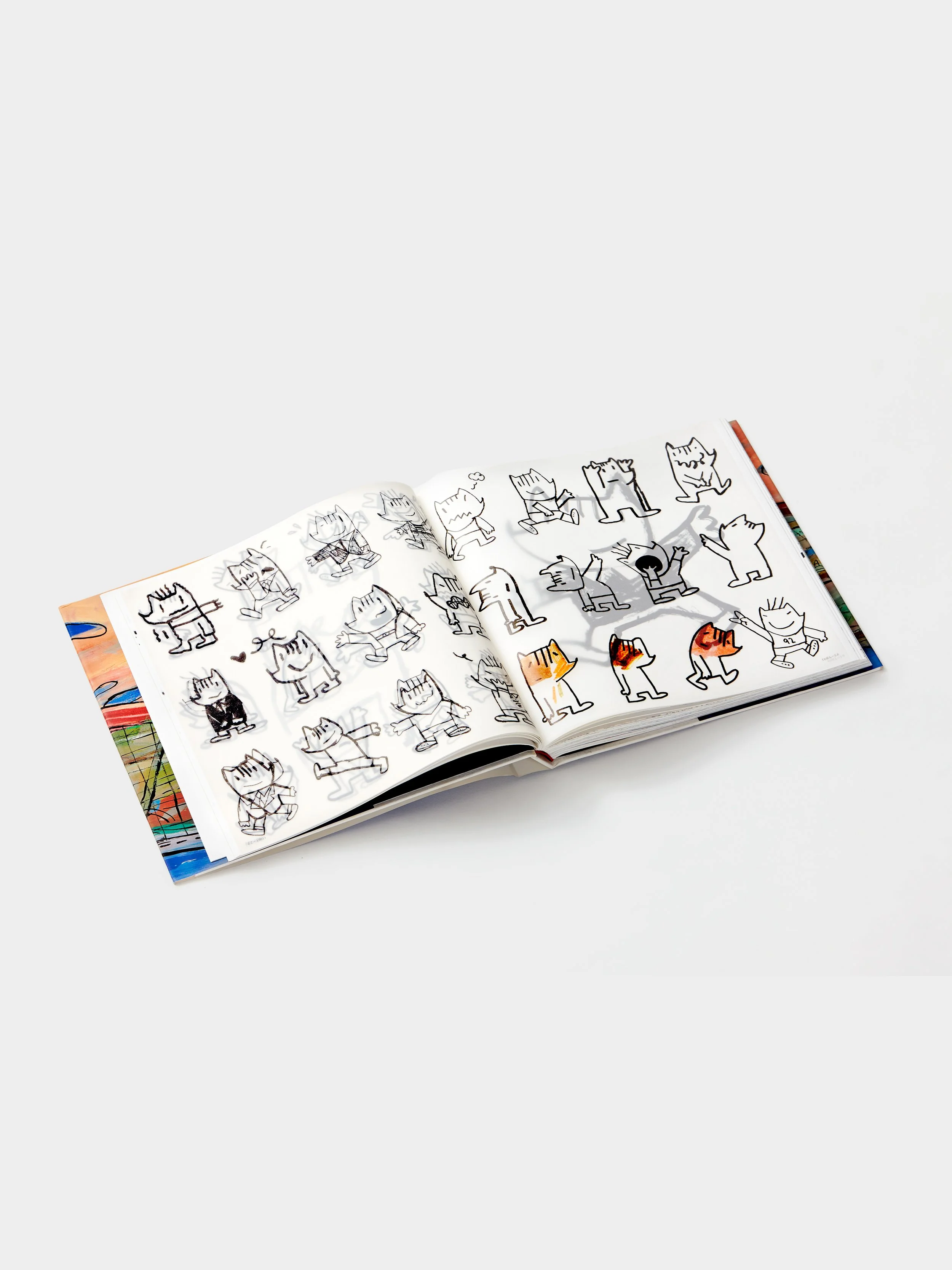 CAJA LIBRO COBI 06.jpg