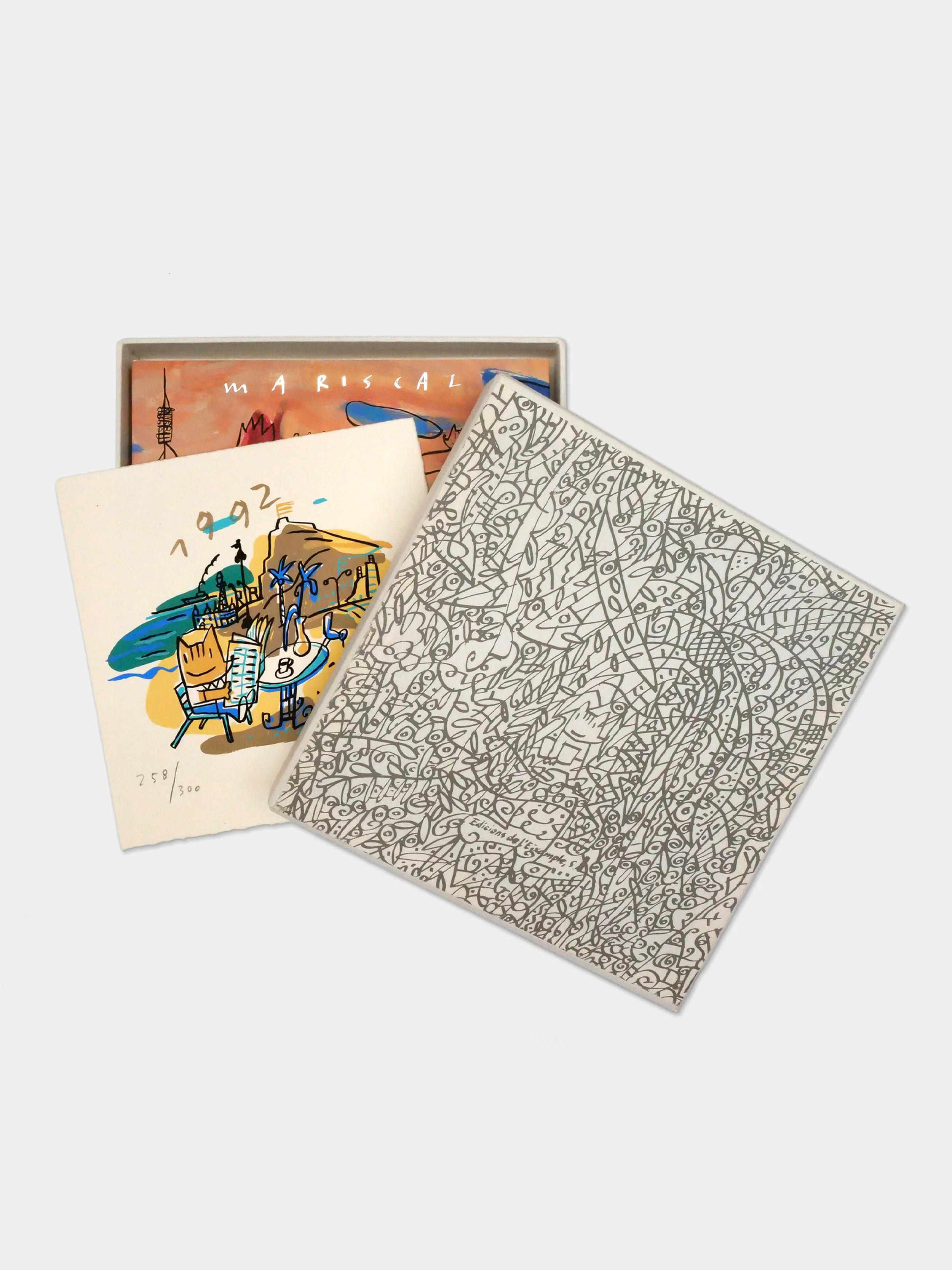 CAJA LIBRO COBI 02.jpg