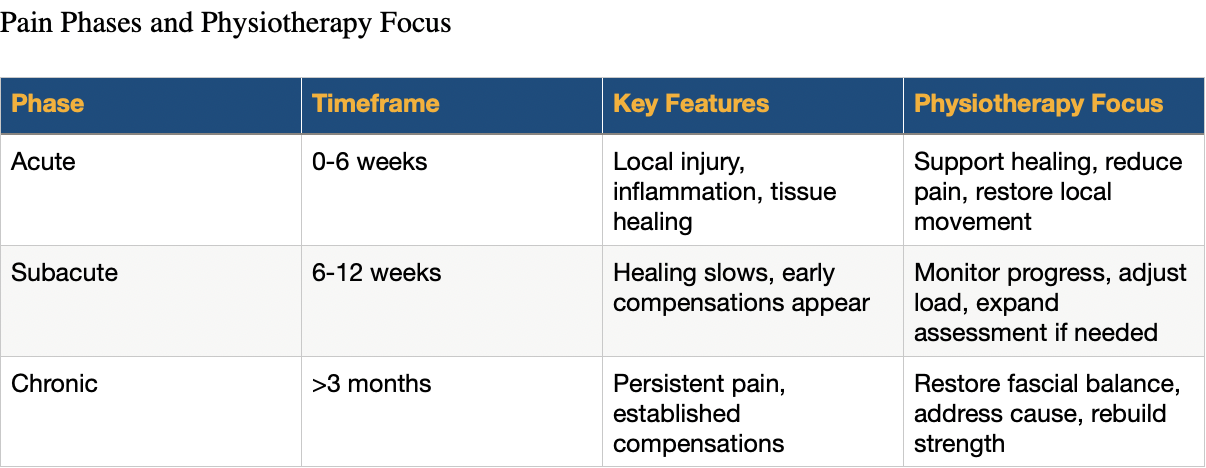 Table showing pain phases and physiotherapy focus, comparing acute, subacute, and chronic pain by timeframe, key features, and treatment goals.