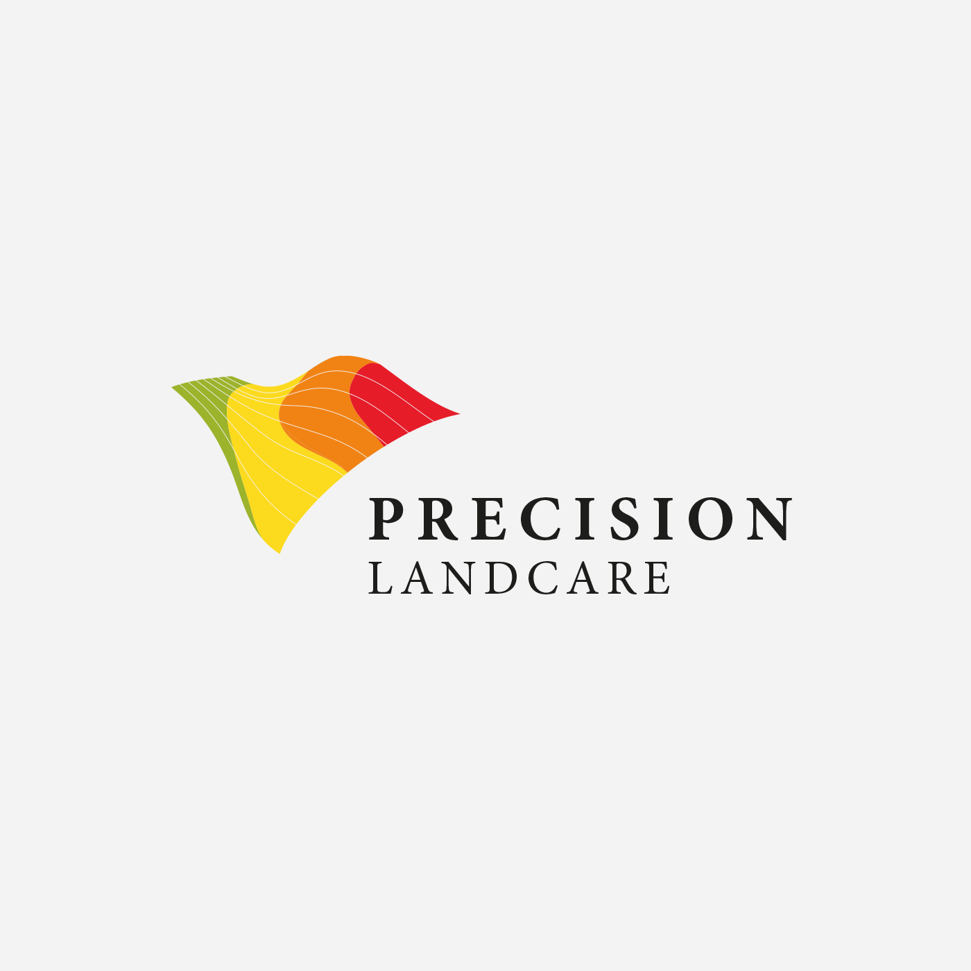 KateRoncoroniGraphicDesign-PrecisionLandcare.png