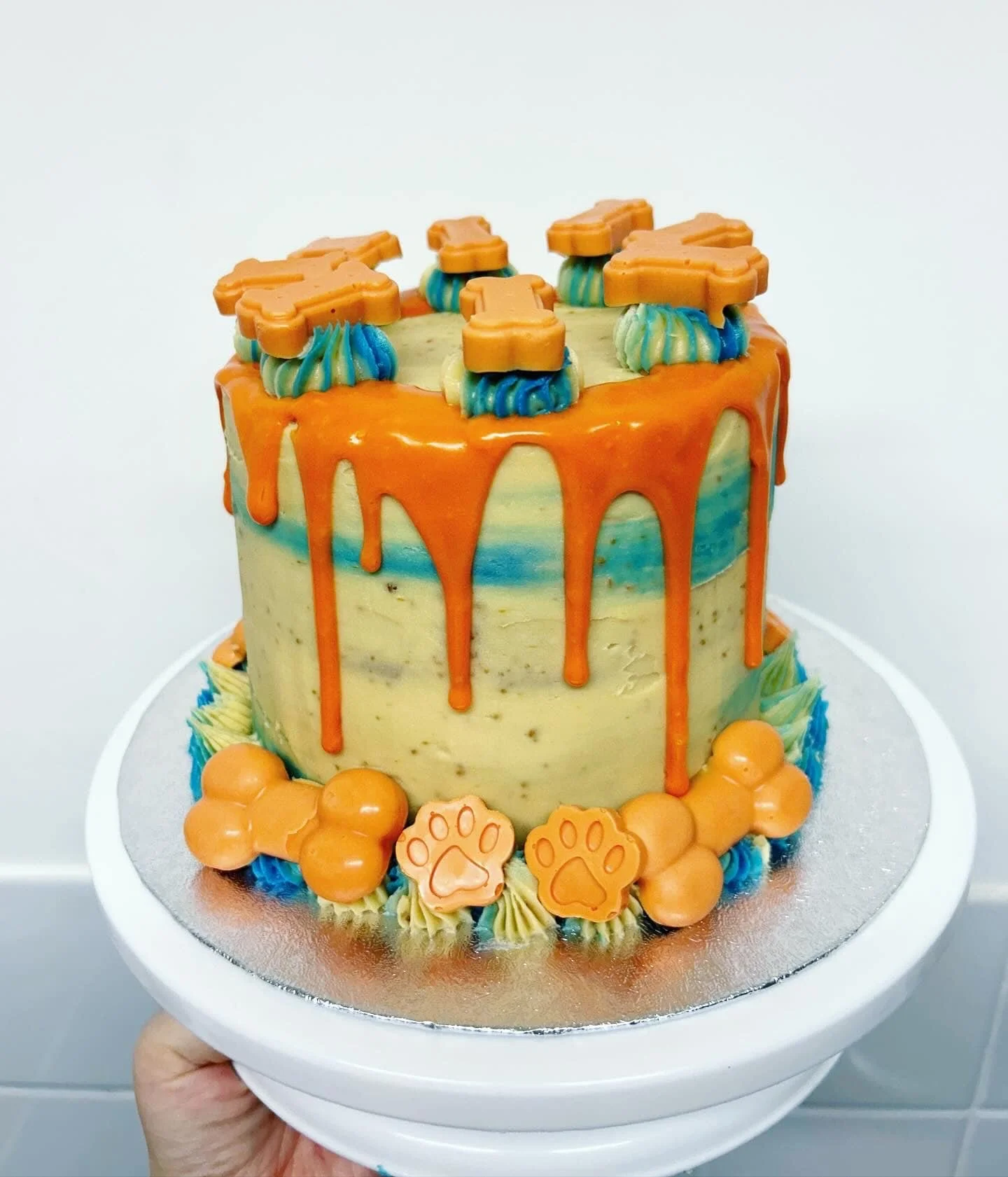 cake1.jpg