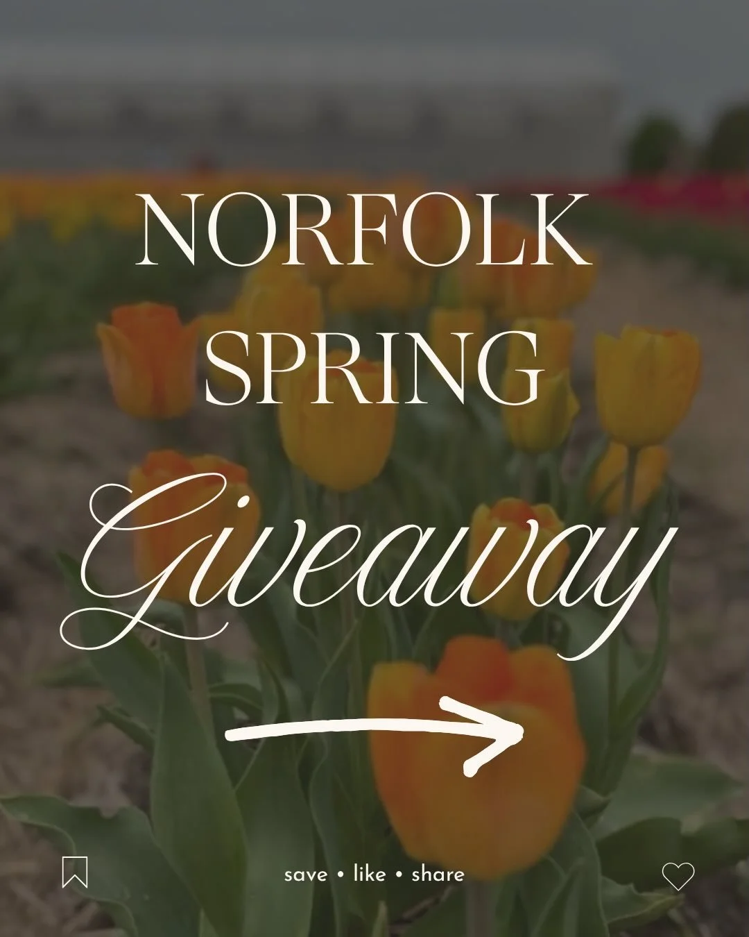 Norfolk County Spring Giveaway 🌷✨

What better way to welcome spring than with the ultimate giveaway featuring some of our favourite local businesses across Norfolk 💐

Here&rsquo;s the tea:
The giveaway kicks off Monday, April 13th and wraps up Sun