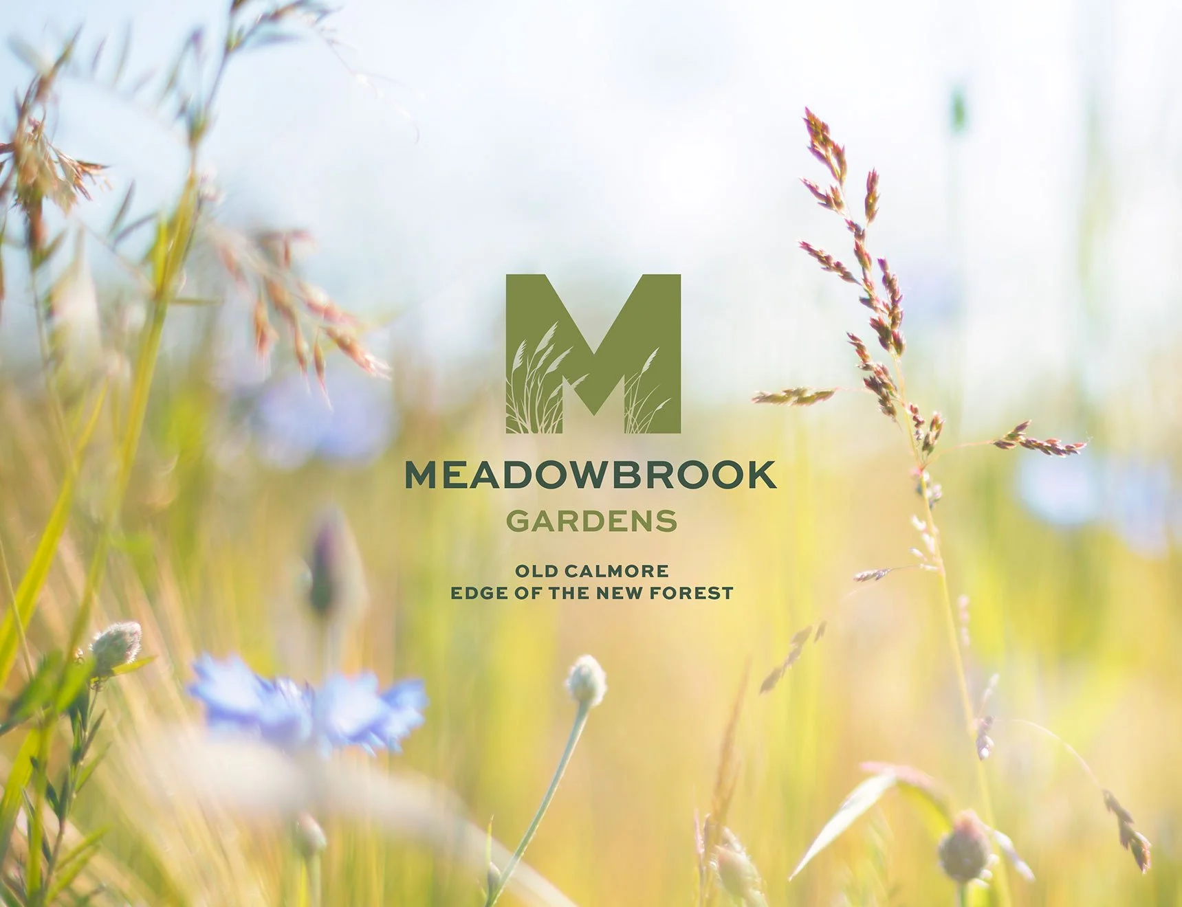 A property development branding visual with a close-up view of wildflowers and grasses in a meadow with a blurred background. The logo for Meadowbrook Gardens is overlaid with the address.