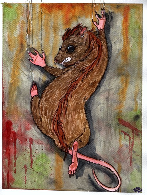 A punk rat climbing a wall