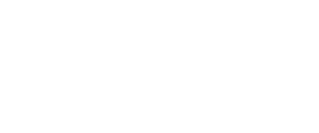 DELLIN INVESTMENTS