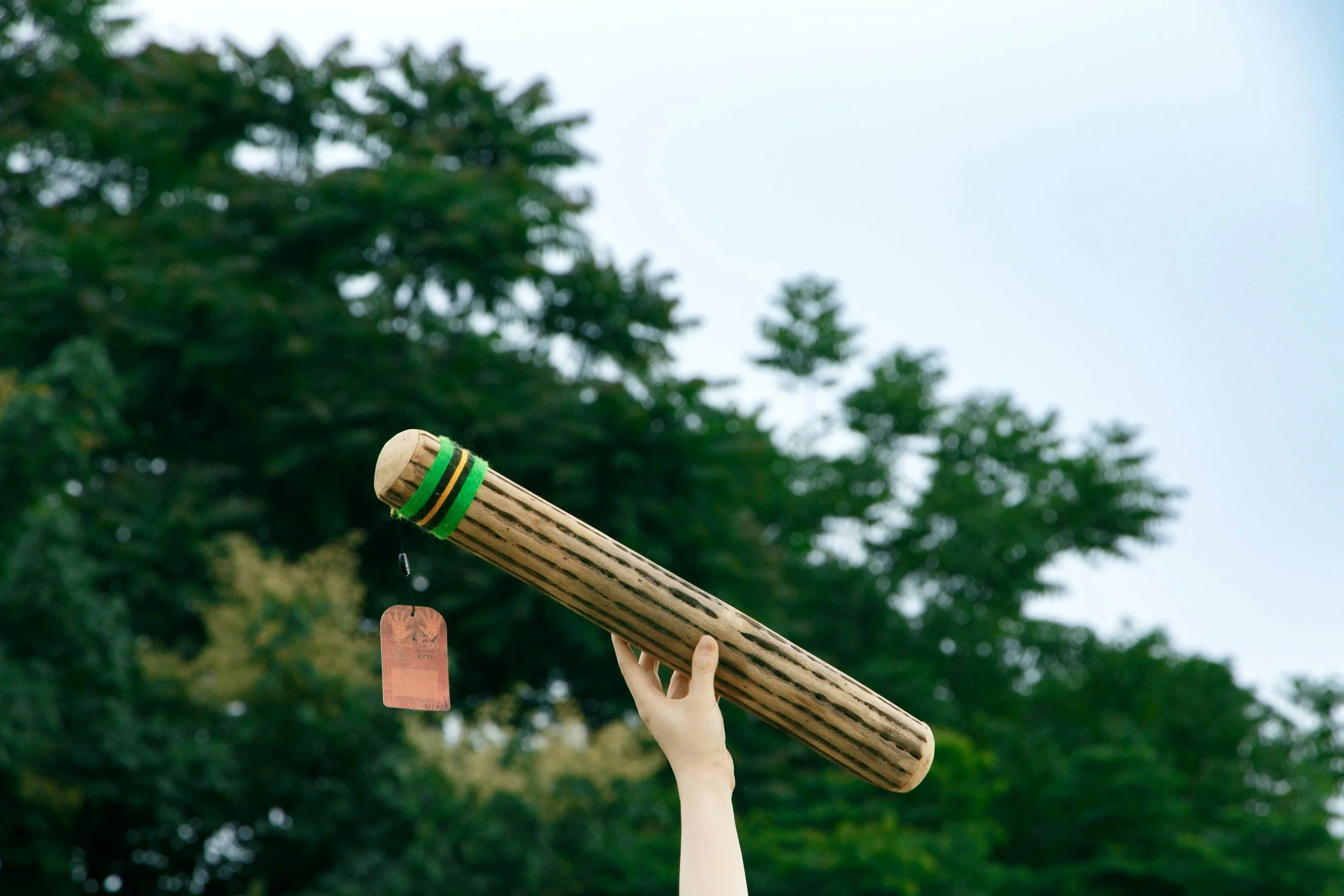 rain stick