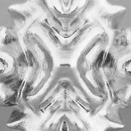 CROSS MORPH