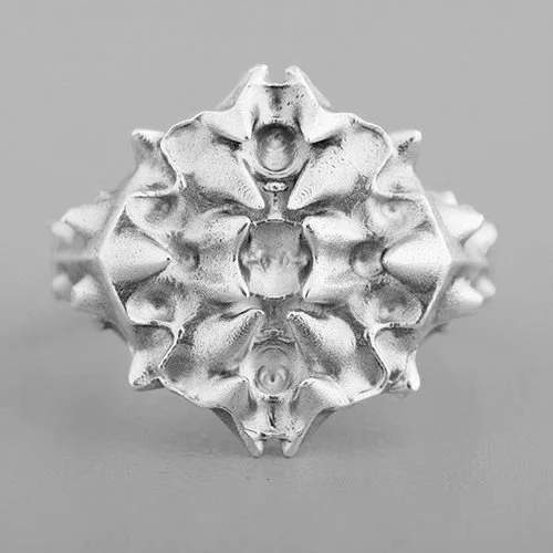 EVOLVE RING