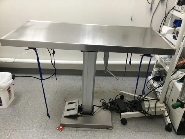 Vetrinary Table .JPG