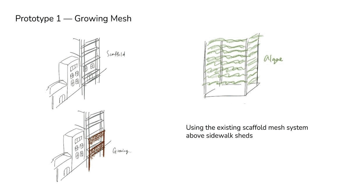 biodesign_sketch (1).gif