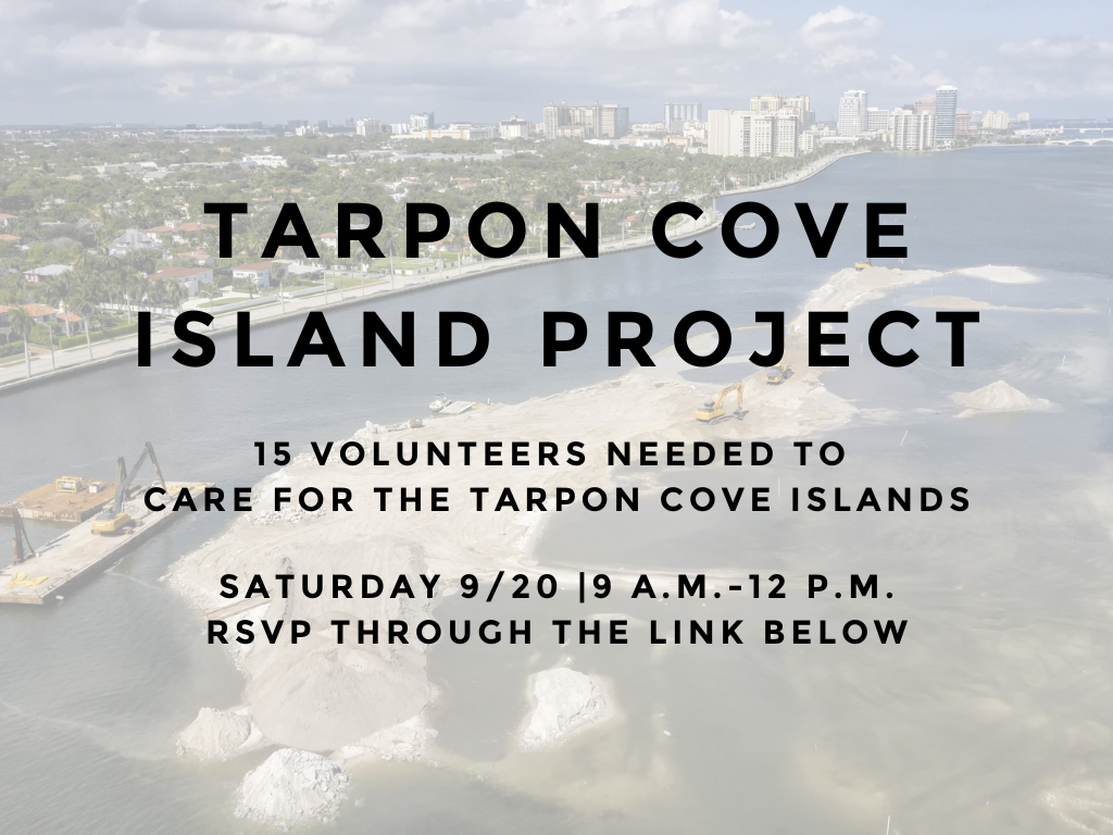 Tarpon Cove
