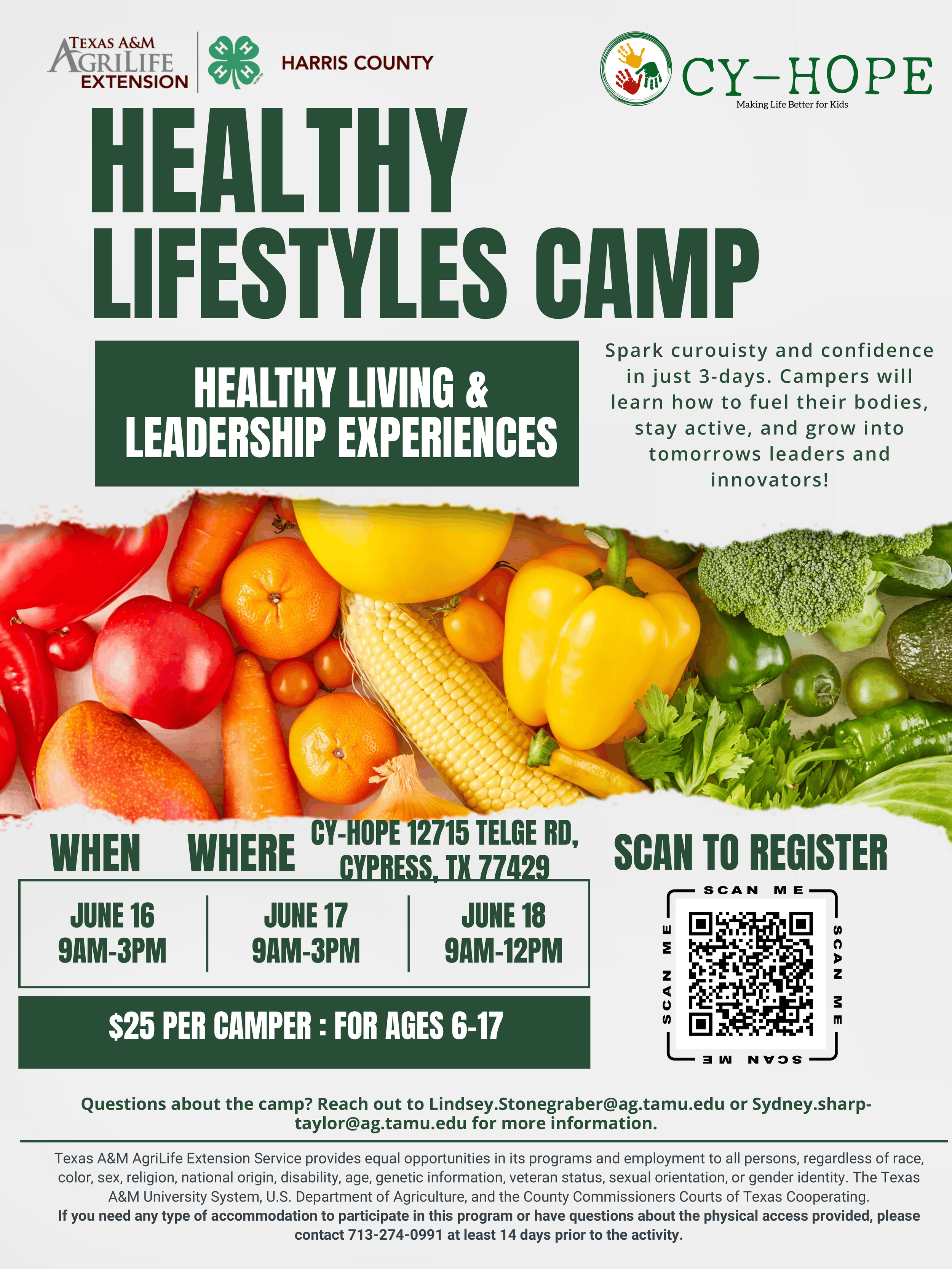 4-H Healthy Lifestyles Camp