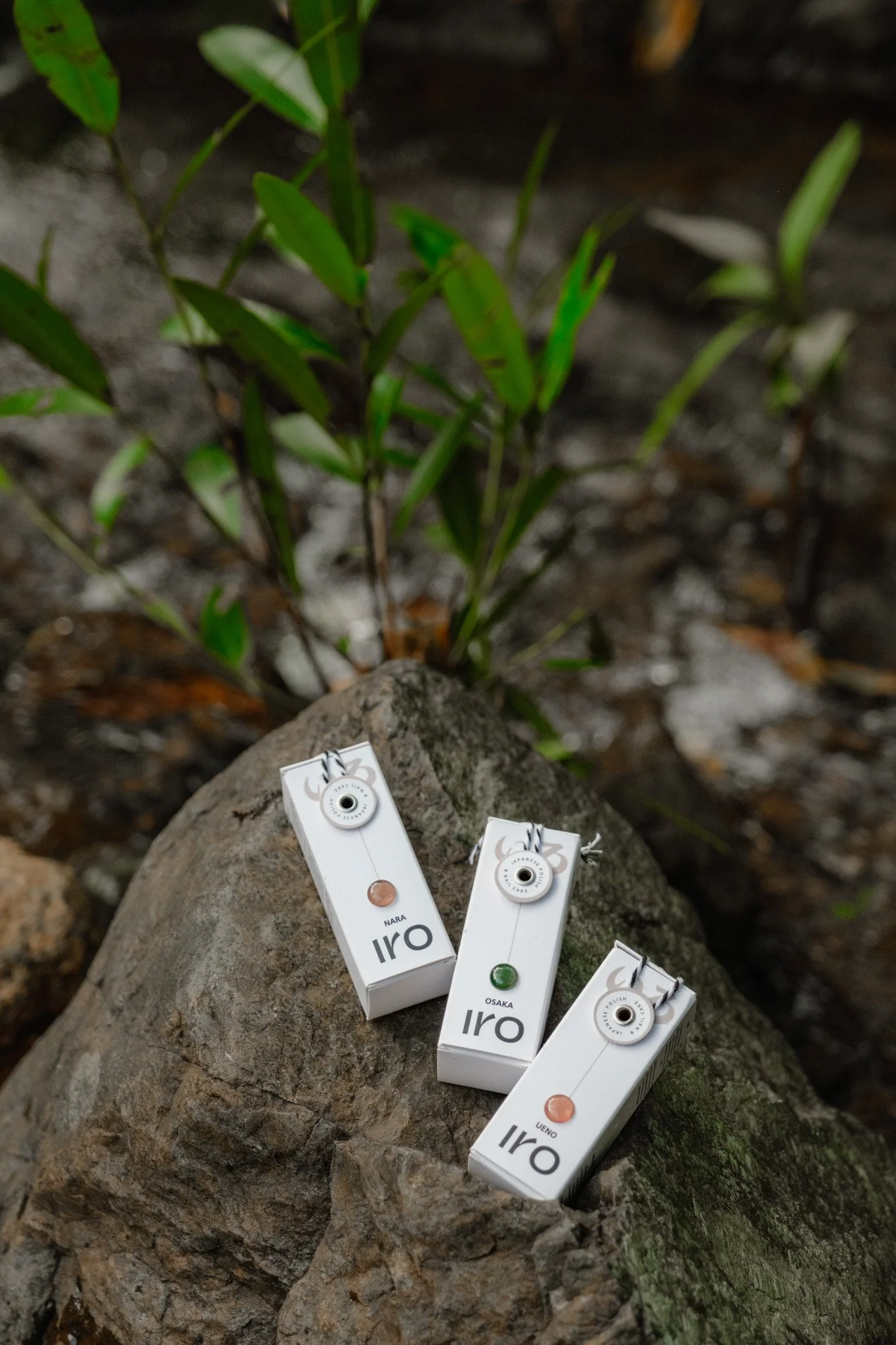 2025-10-05 Iro-12.jpg