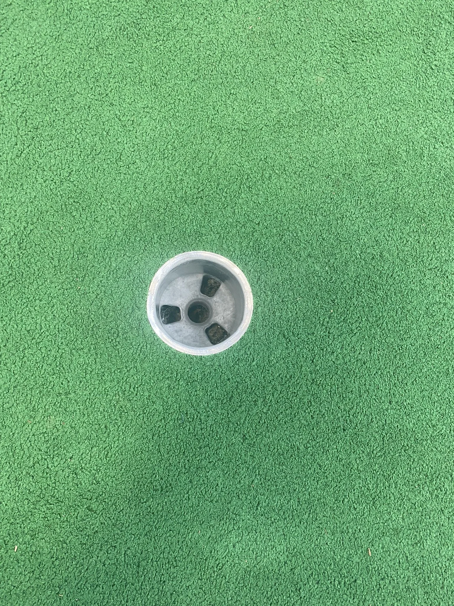 The Typical Putting Surface and Cup Used at Trombetta's Farm