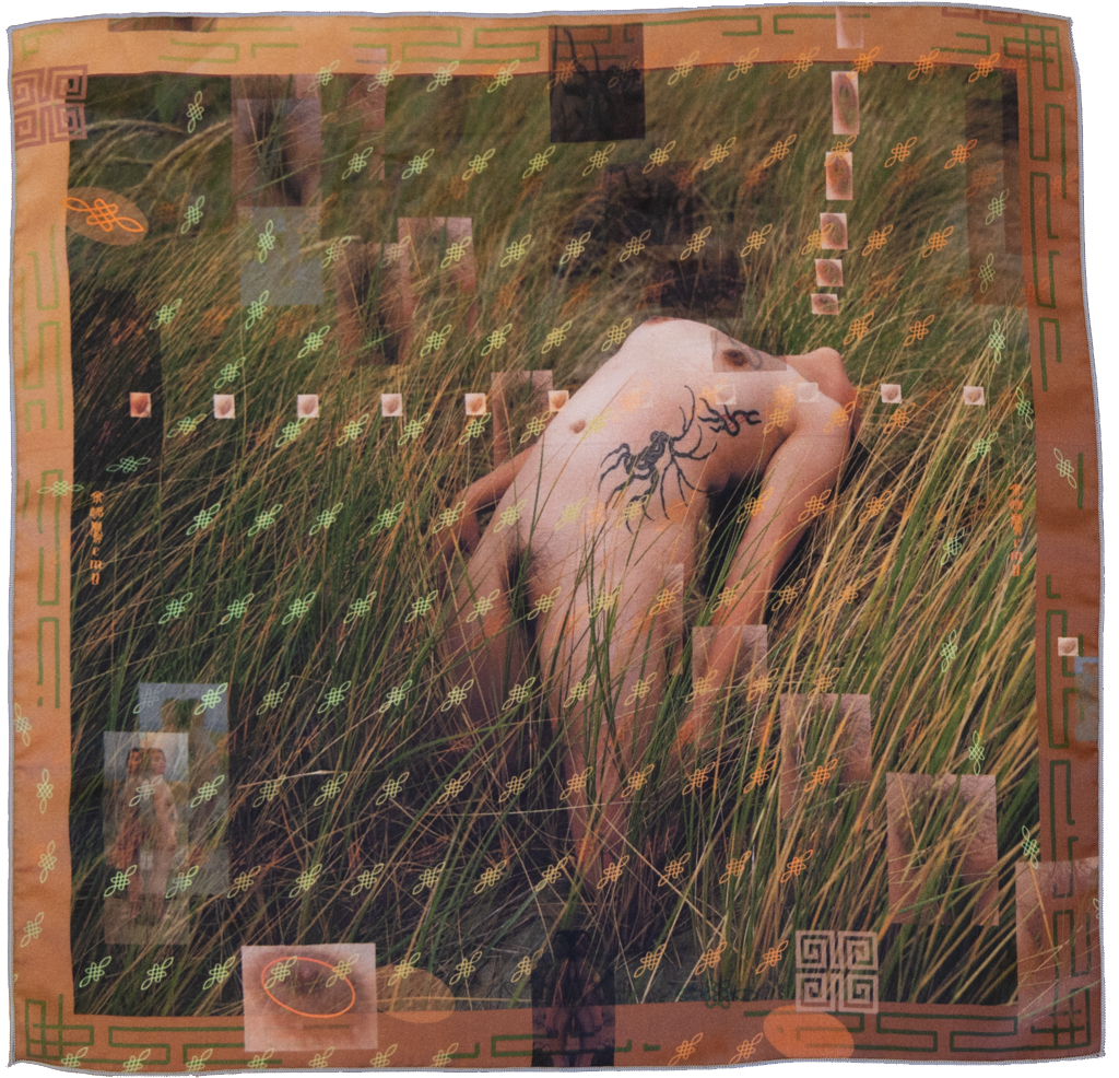 the body transparent 100%.png