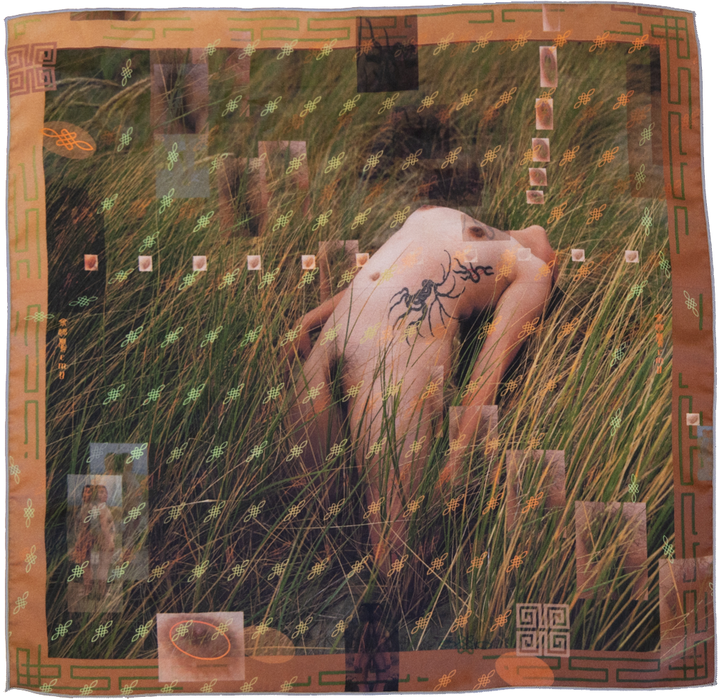 The Body, from Series 4 of Under Our Sky, 2026