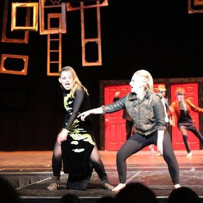 Telluride AIDS Benefit