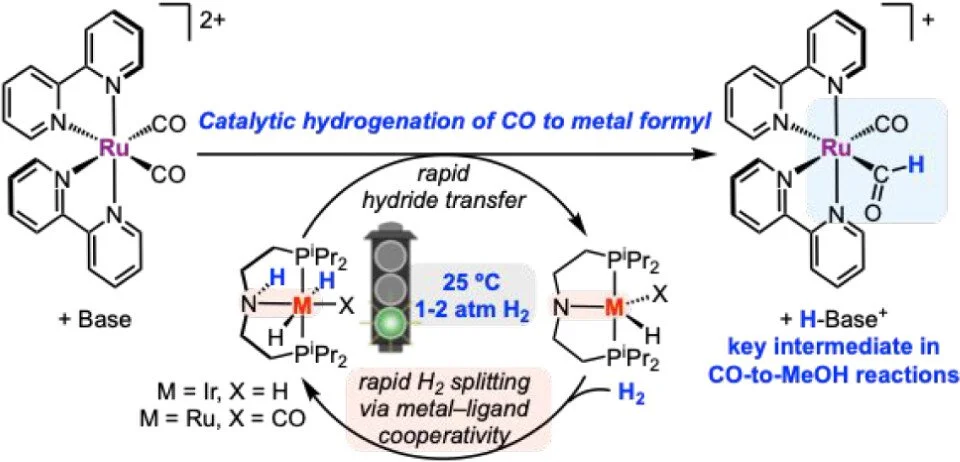 Catalytic Hydrogenation of a Ruthenium Carbonyl to Formyl Enabled by Metal–Ligand Cooperation