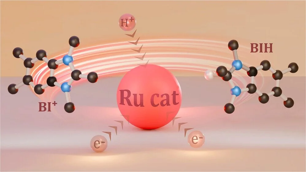 Regeneration of Benzimidazole-Based Organohydrides Mediated by Ru Catalysts