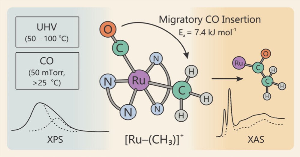 Following CO and H Insertion into Ru–C Bonds with X-ray Photoelectron and Absorption Spectroscopies