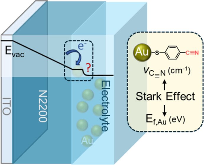 A Vibrational Probe of Electrical Doping in N2200 and Fermi-Level Alignment at Polymer Cathode/Metal Cocatalyst/Electrolyte Junctions