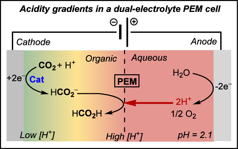 Controlled Acidity Gradients Enable CO₂ Reduction to Formic Acid (Not Formate) by Molecular Electrocatalysts
