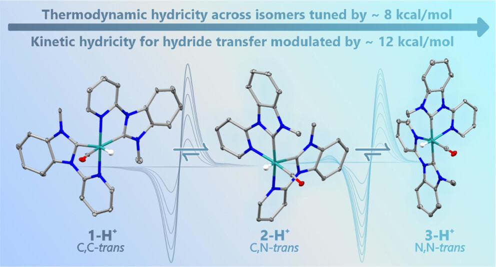 Chemically Separable Ruthenium Hydride Isomers with Distinct Hydride Transfer Properties