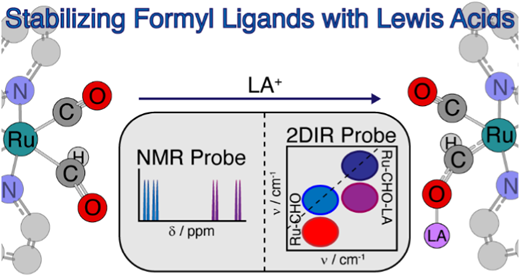 Stabilizing Ru-Formyl CO₂ Reduction Intermediates by Formation of Lewis Acid–Base Adducts: A Combined 2DIR and NMR Study