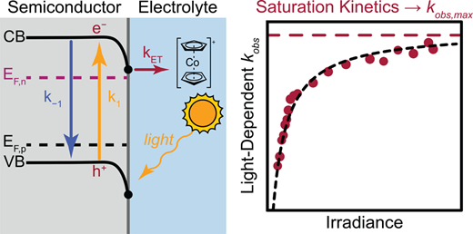Illuminated Semiconducting Electrodes Show Saturation Kinetics under Conditions of Inversion