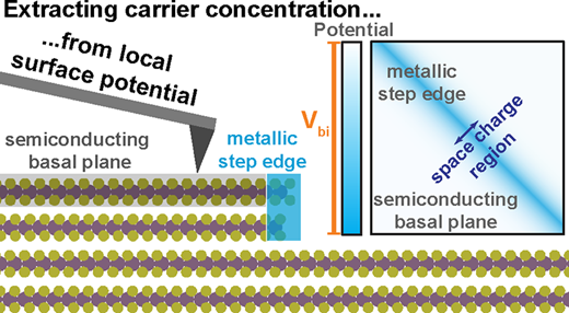 Native Defects Enable Facile Measurement of the Carrier Concentration in Two-Dimensional Semiconductors Using Kelvin Probe Force Microscopy