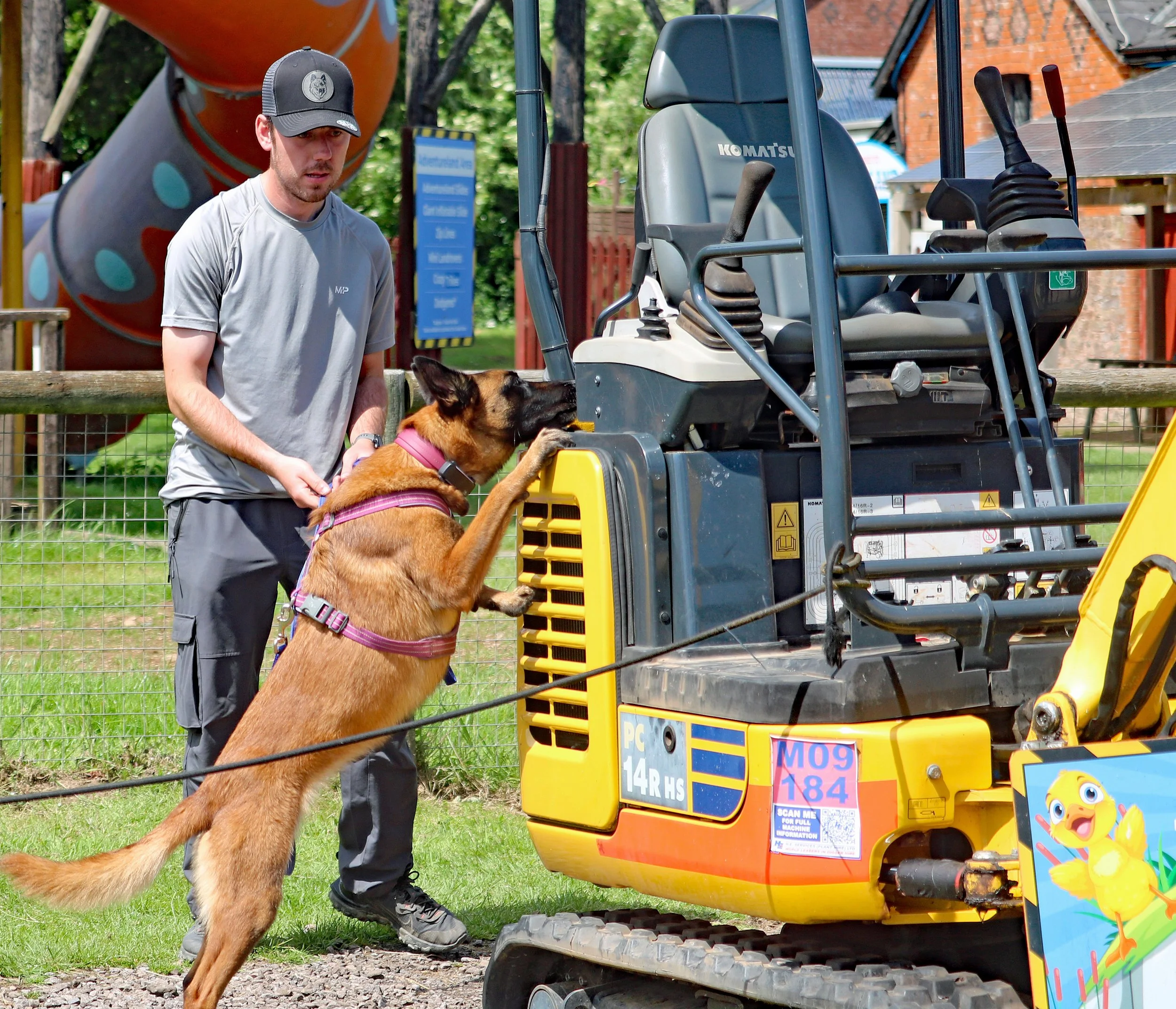 man and dog doing scentwork at diggerland
