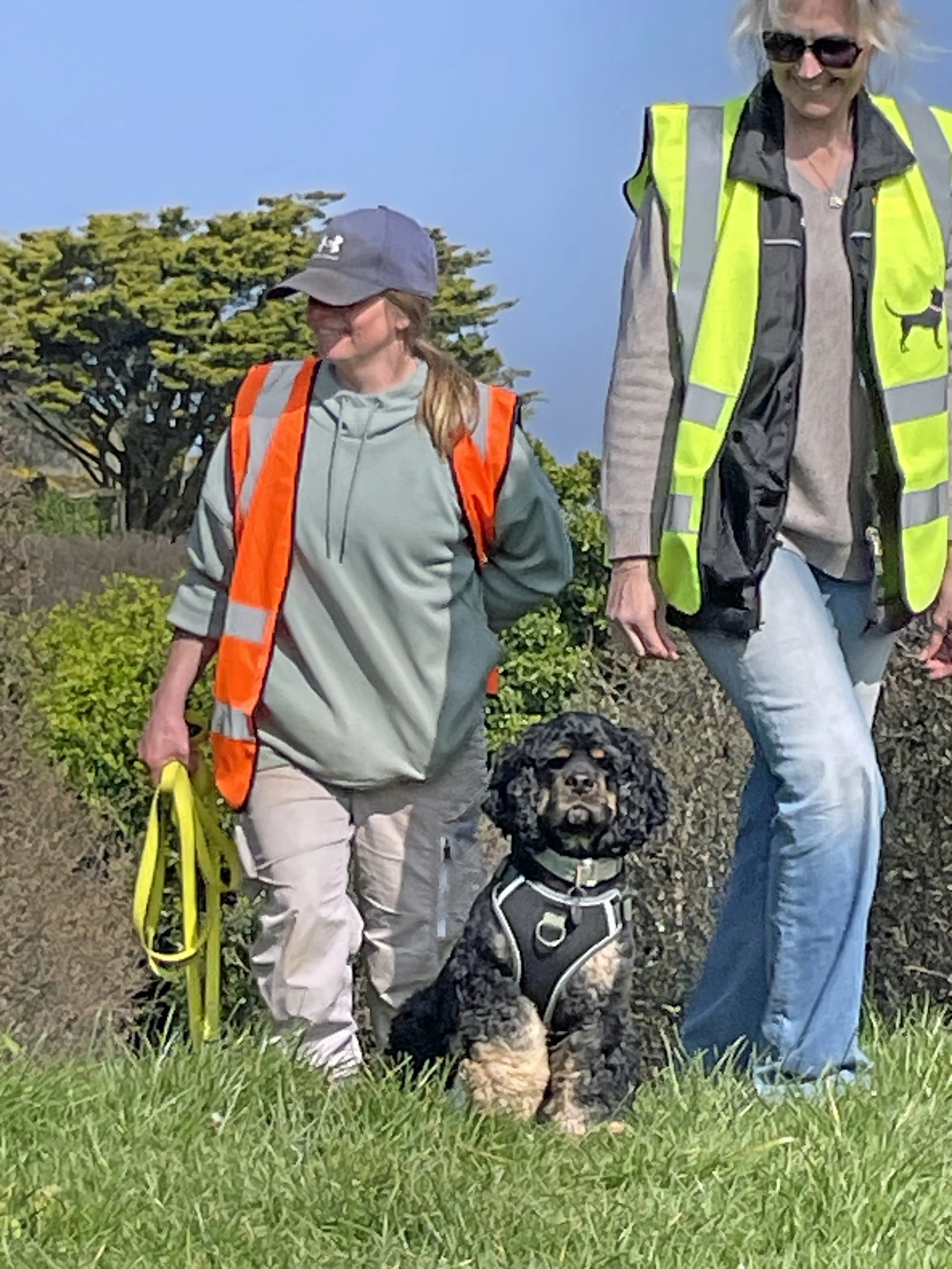 two people in hi-vis jackets with a small dog doing scentwork
