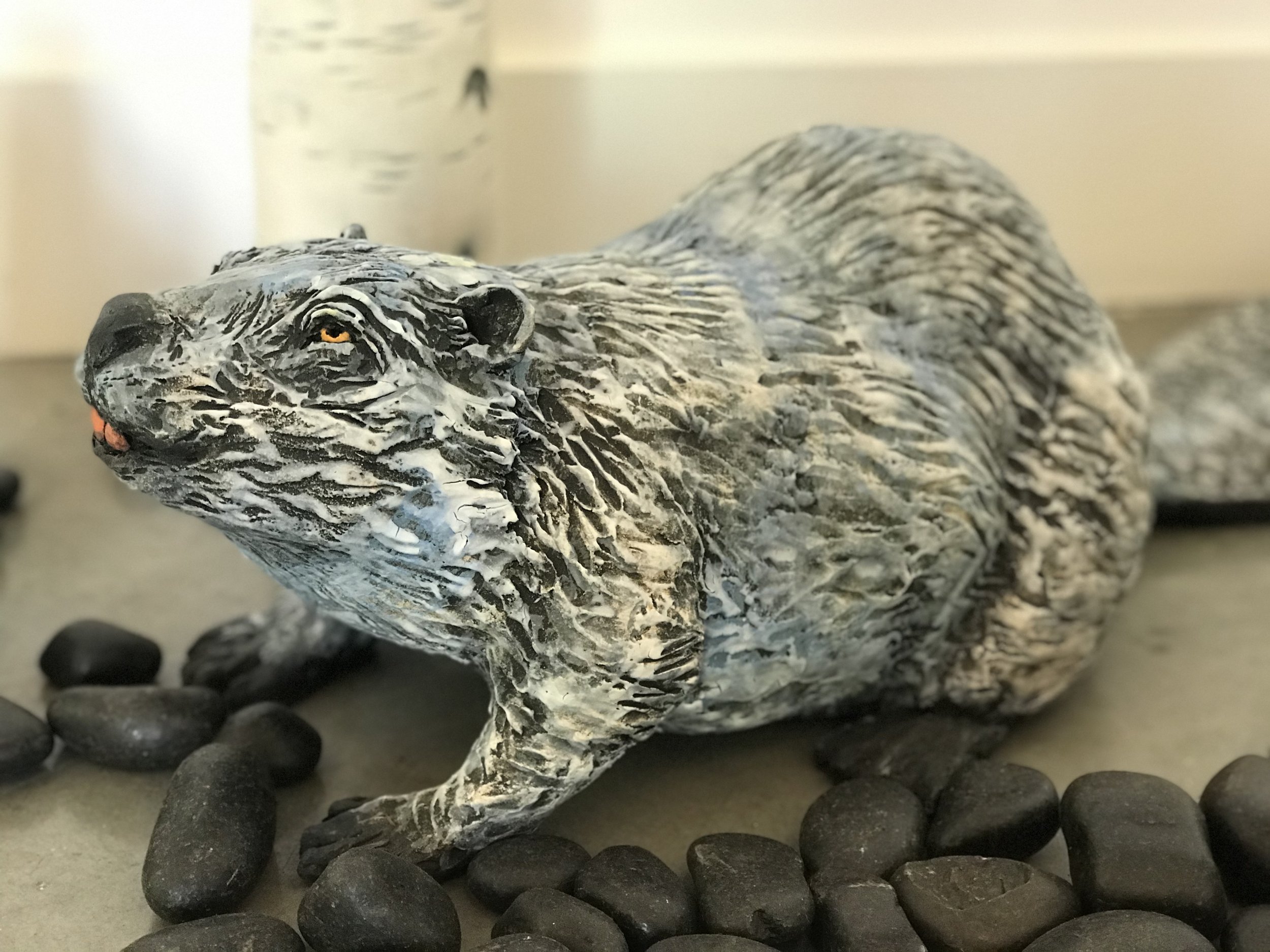 Beaver