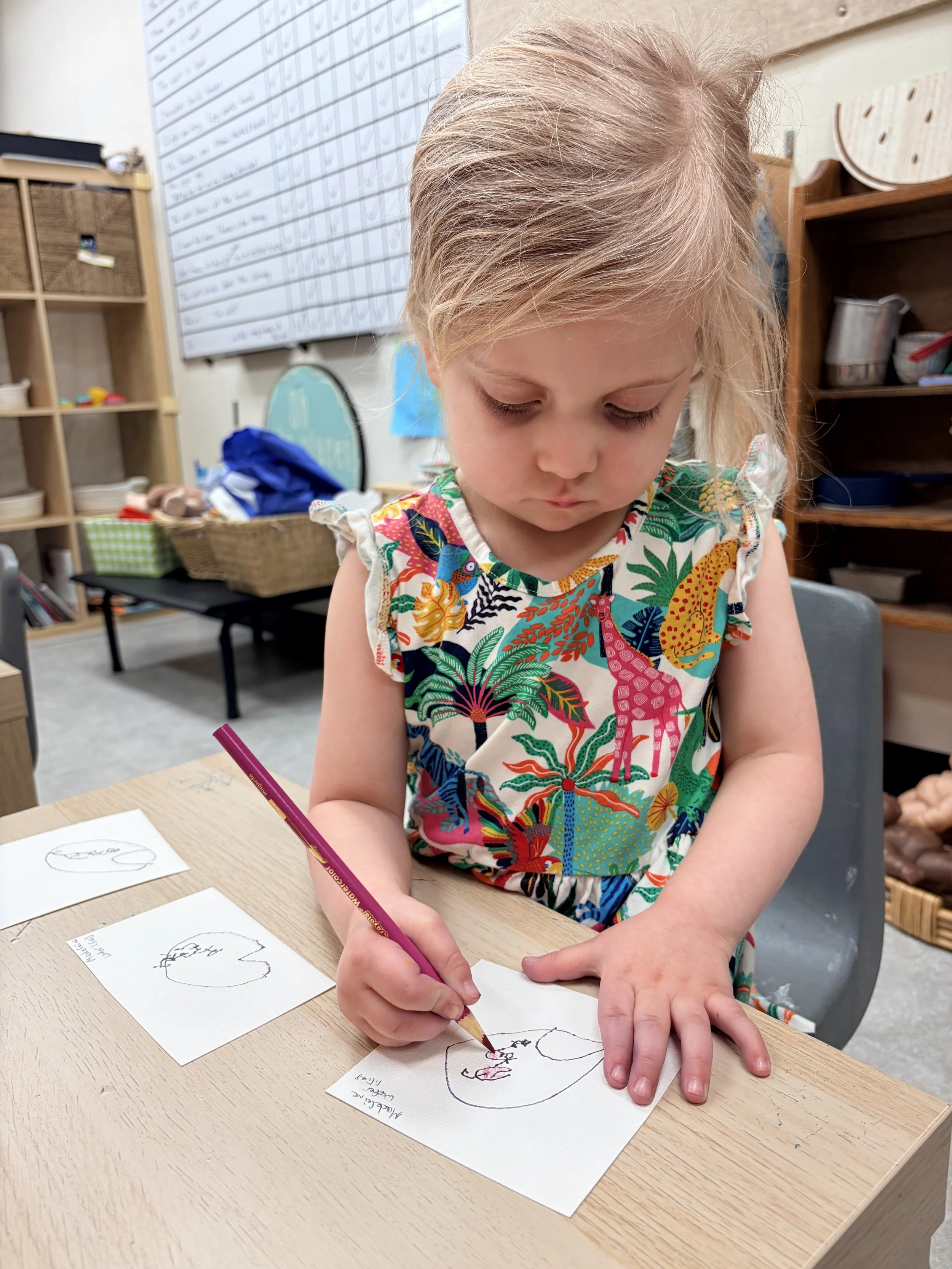 Copy of IMG_0011.JPG