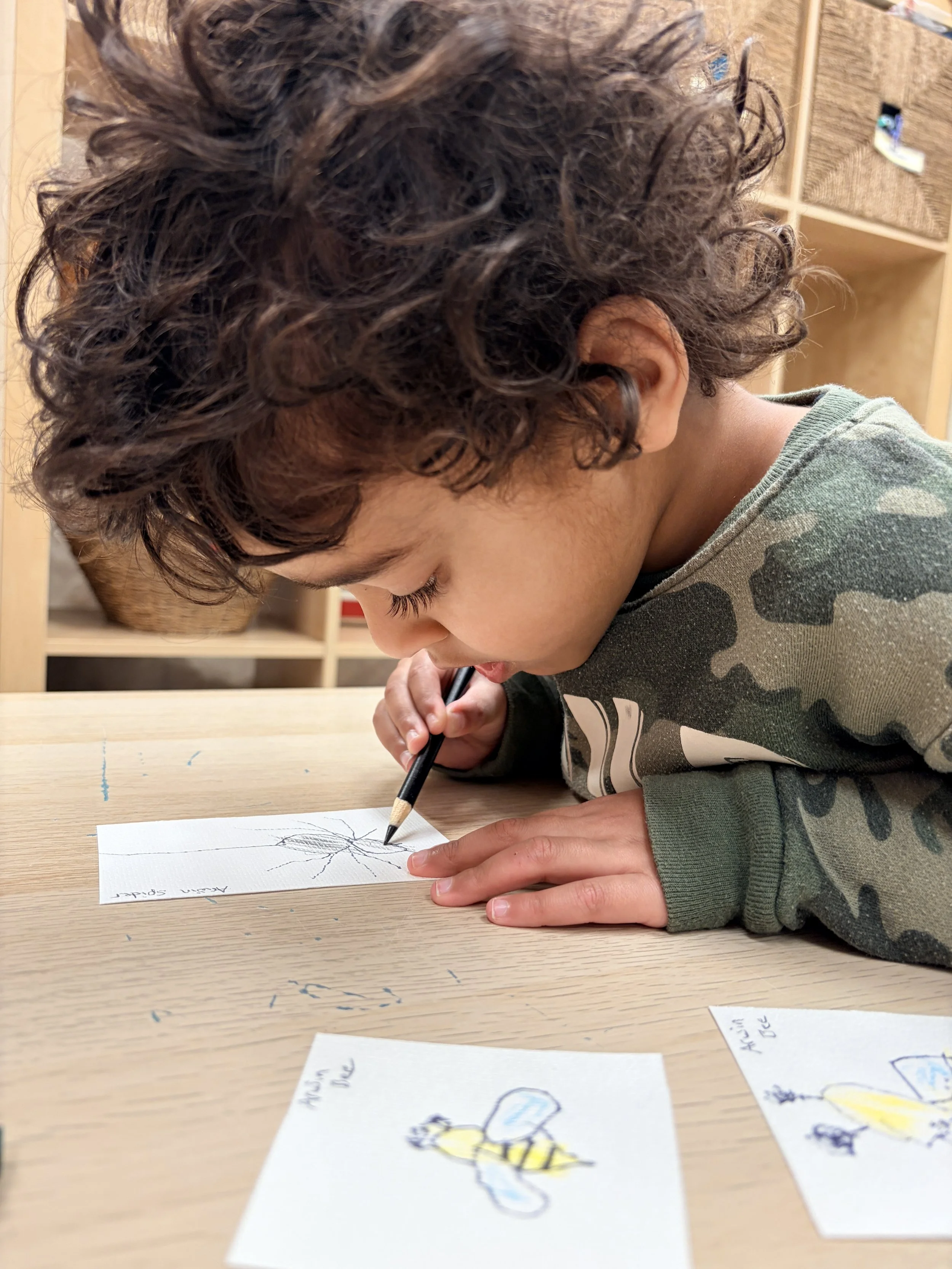 Copy of IMG_0027.JPG