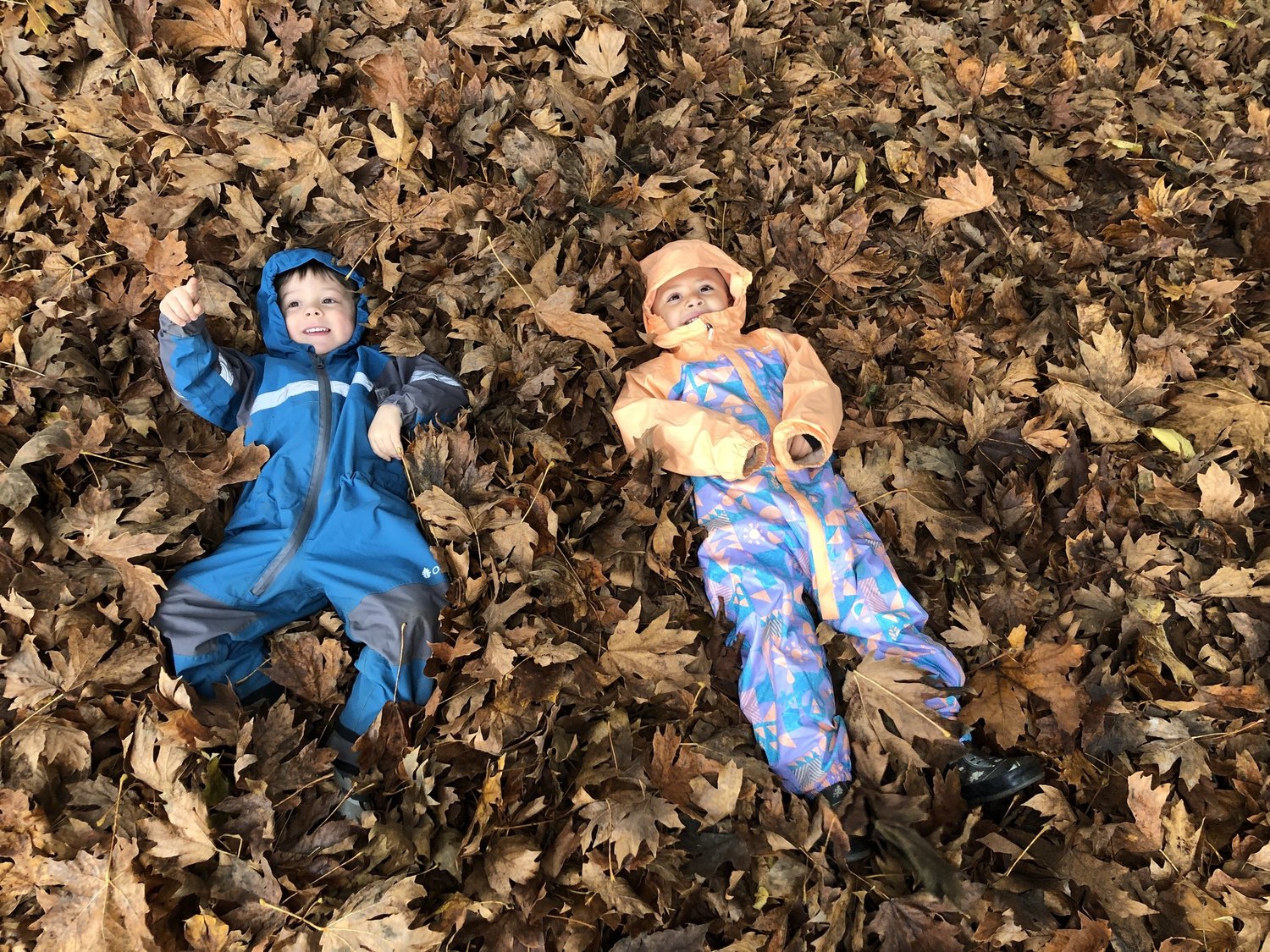 Our School The Gardner School of Arts and Sciences Vancouver