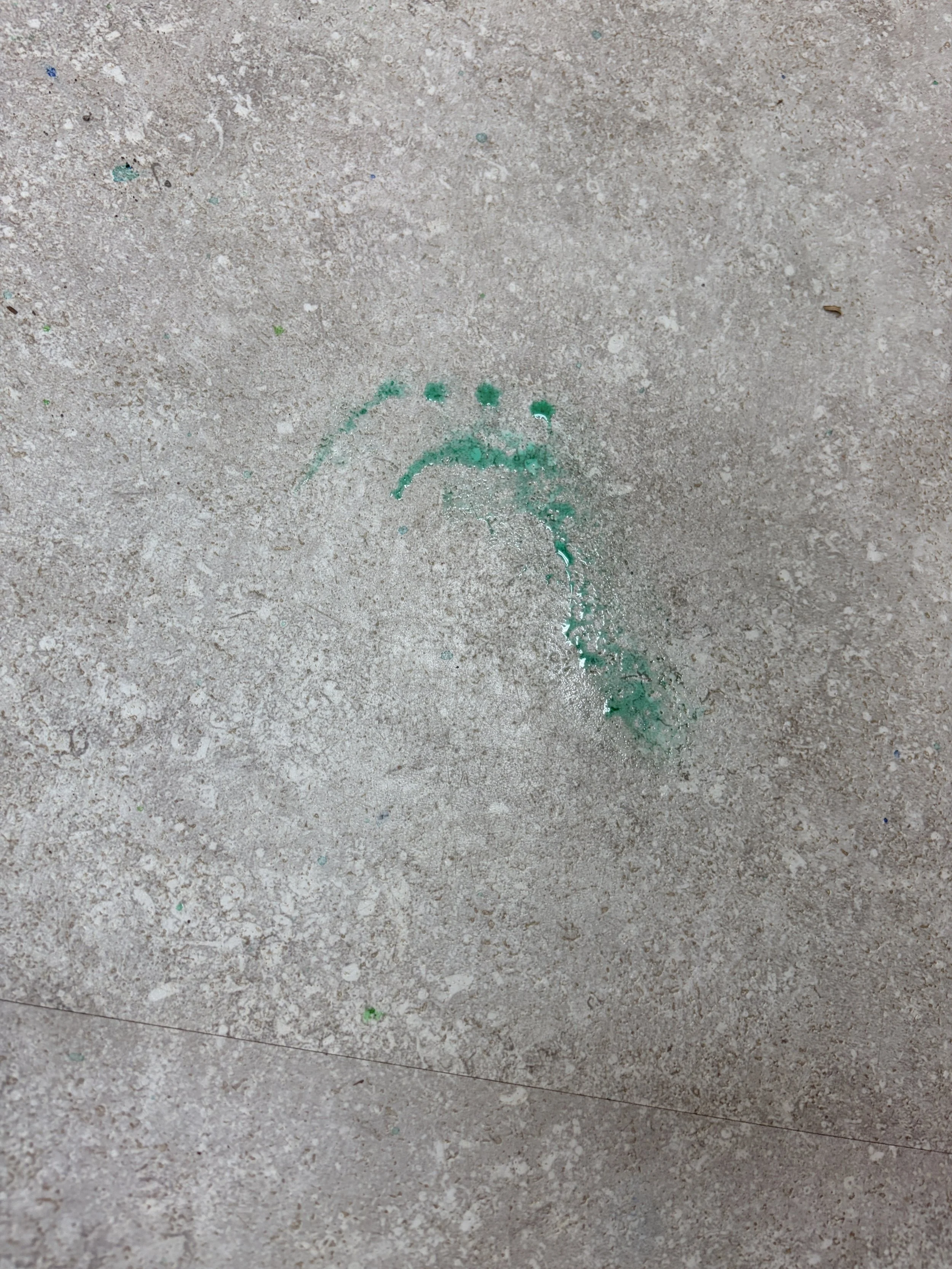 Copy of IMG_9931.JPG