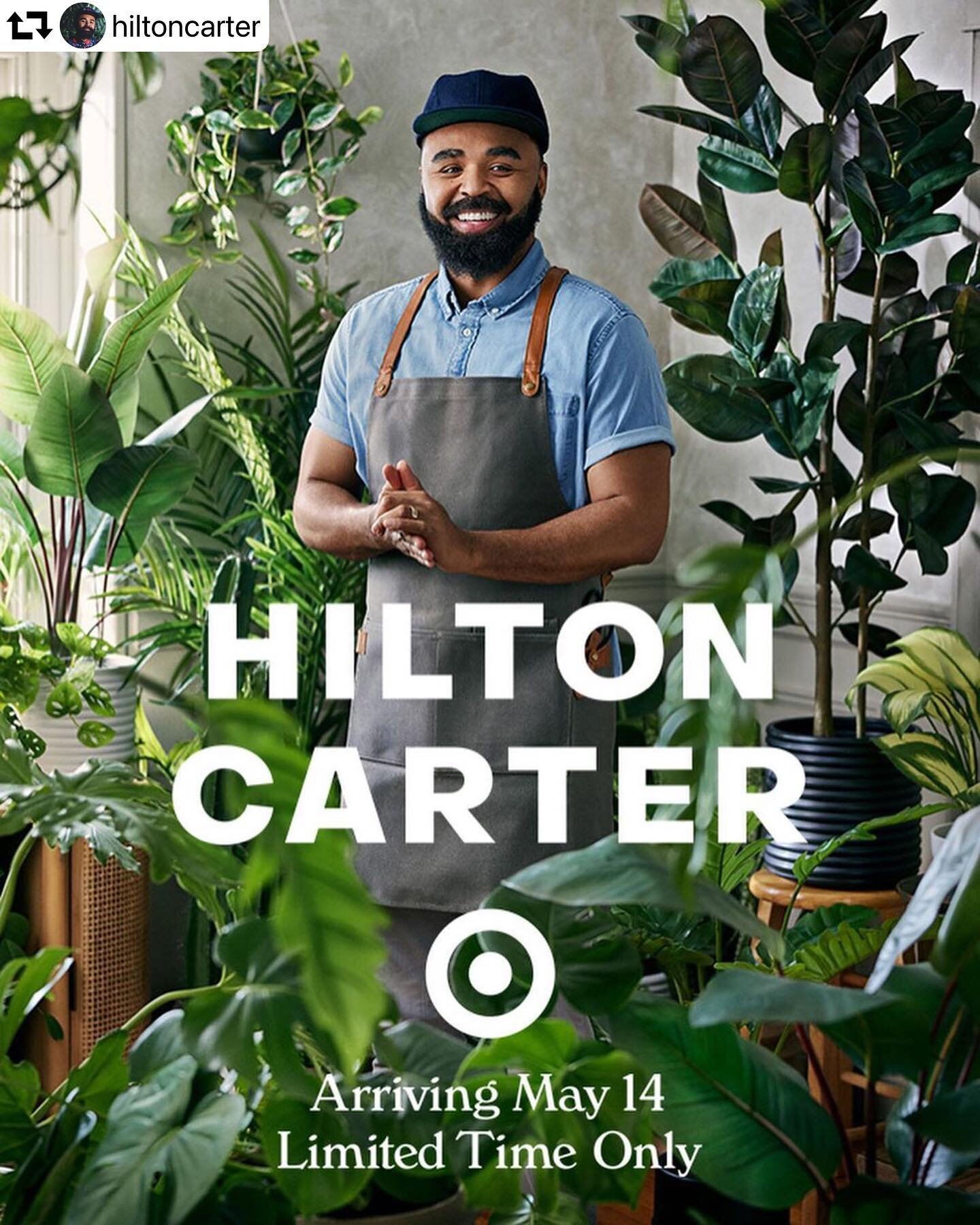 @hiltoncarter can&rsquo;t be stopped! We know this collection is going to be 🙌🪴🔥!! 

&ldquo;...a mix of planters, propagation vessels, terrariums, tools of the trade, faux plants and live plants...!!!&rdquo;

@target // May 14th

. . .
#targetcoll