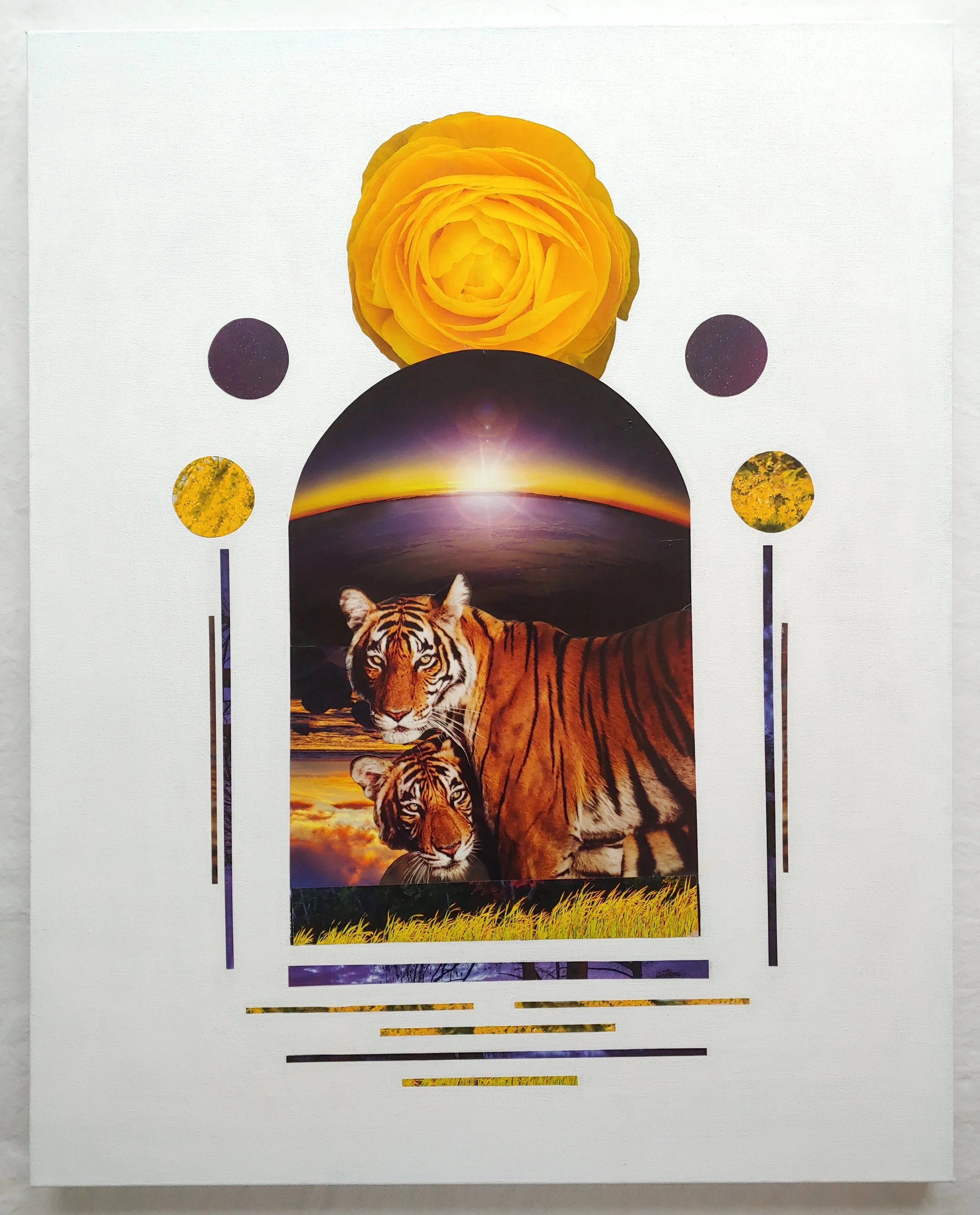 TPA Rested Radiance.jpg