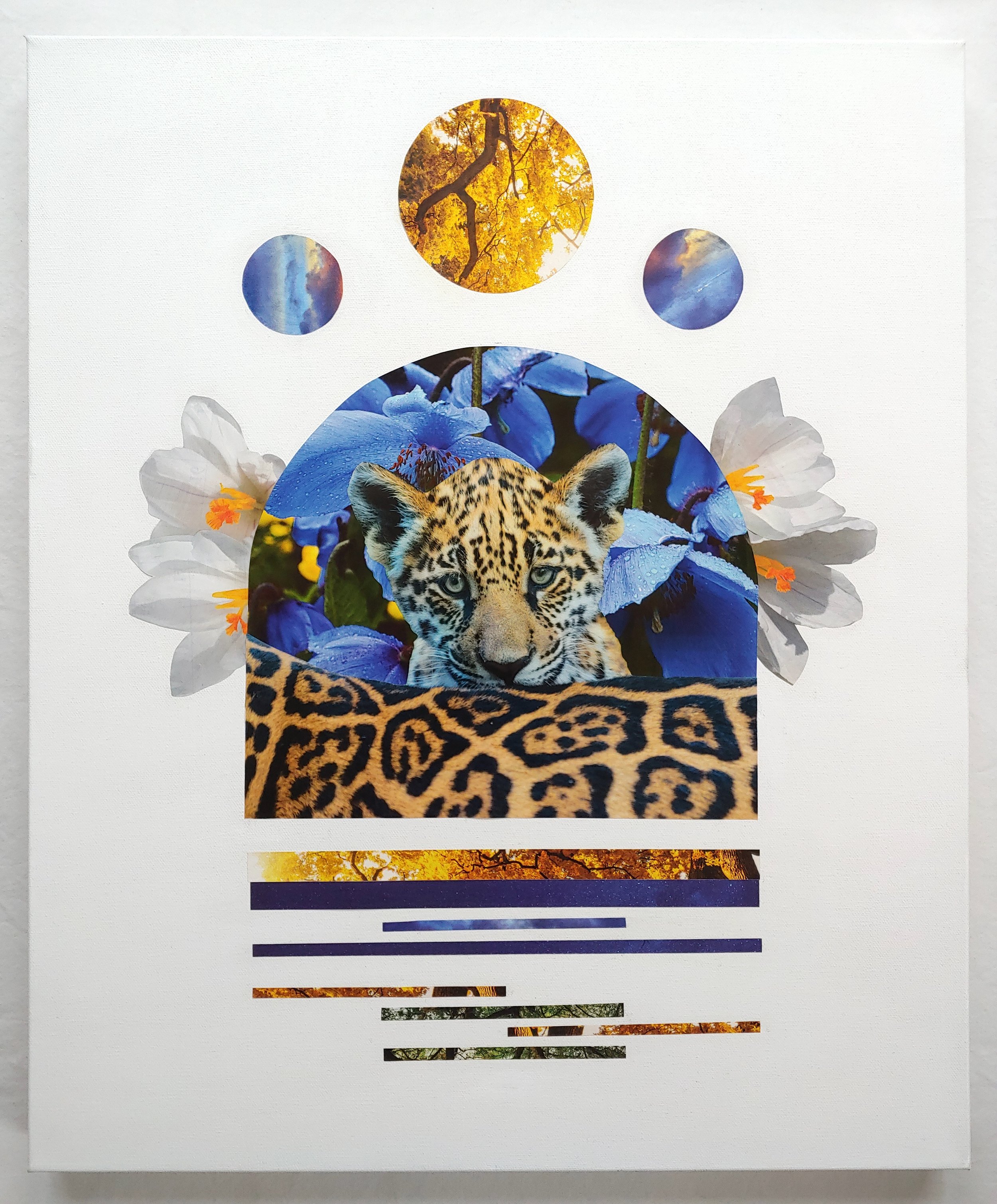 TPA Restful Play.jpg