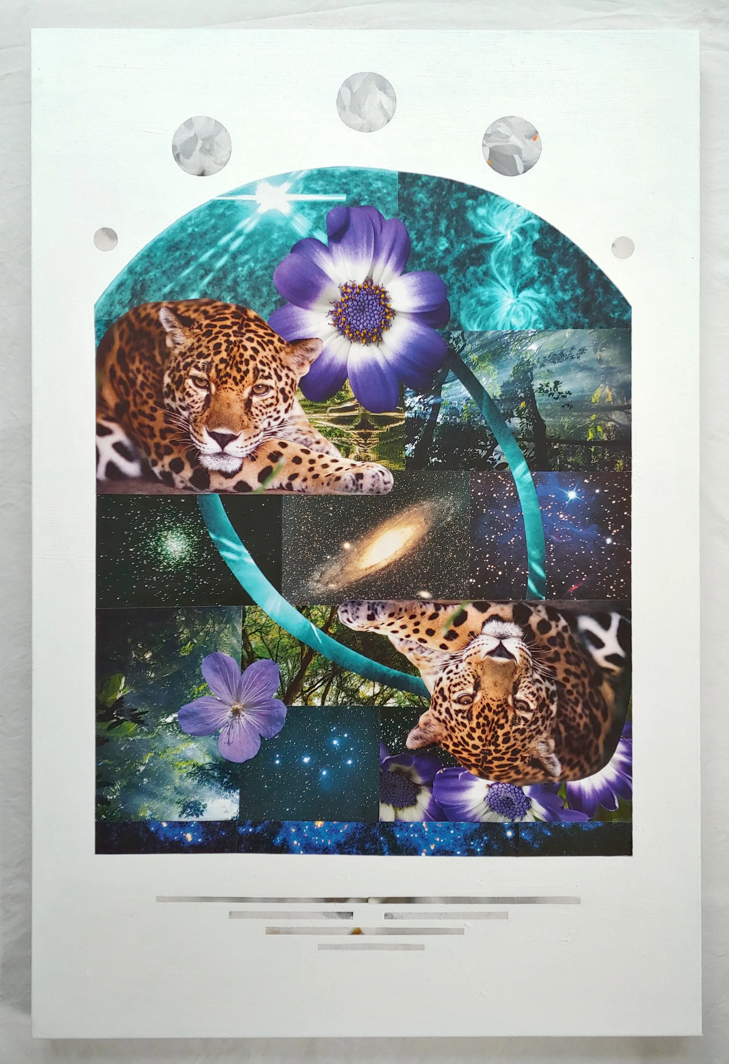 TPA Back to Balance.jpg