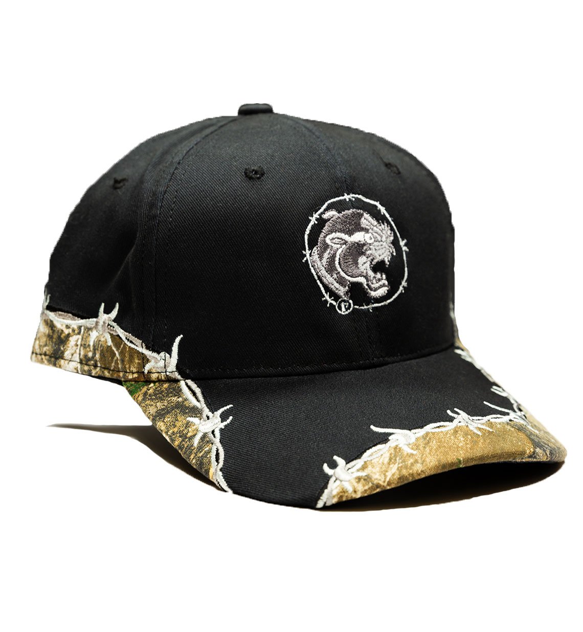 CAT_CAP2.2.jpg