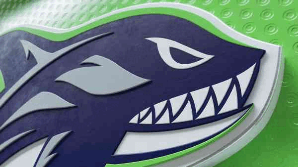 Seatle(1).gif