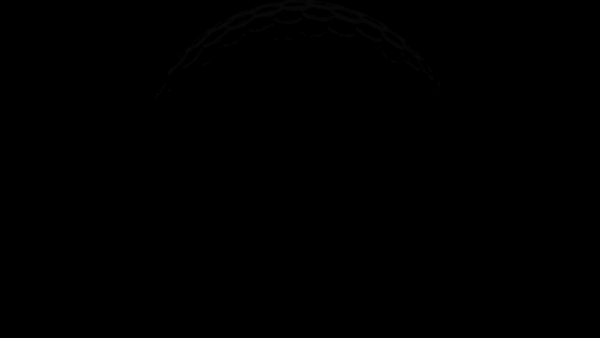 TGL_gif_01(1).gif